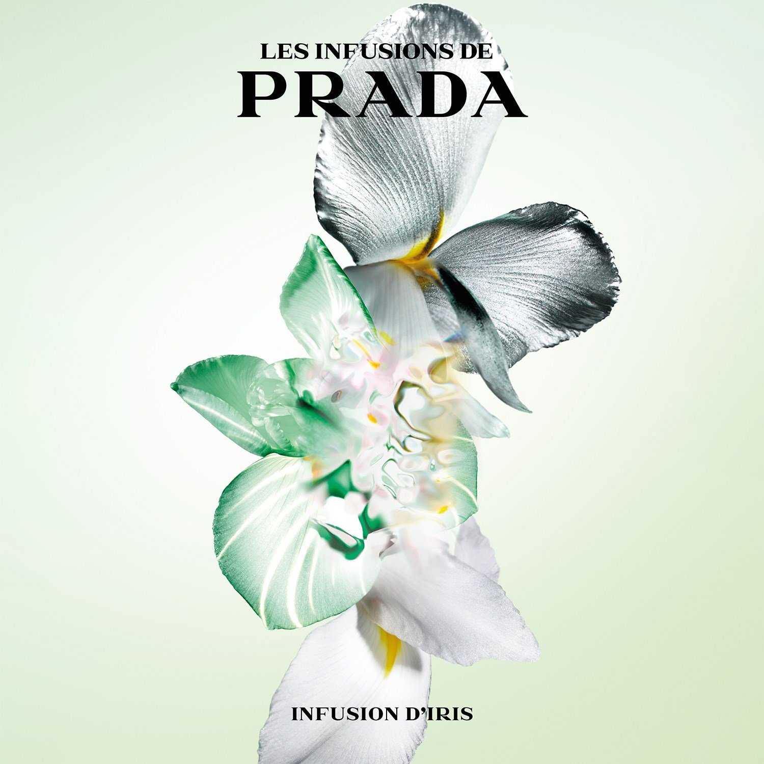 infusion-diris-eau-de-parfum-c87d6a.jpg