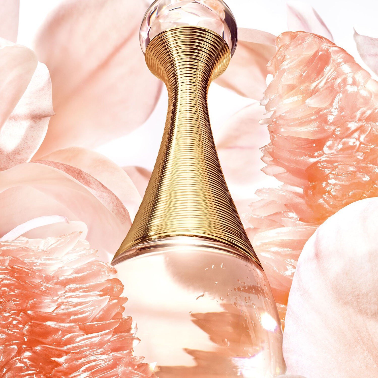 jadore-eau-de-toilette-b39b-b.jpg