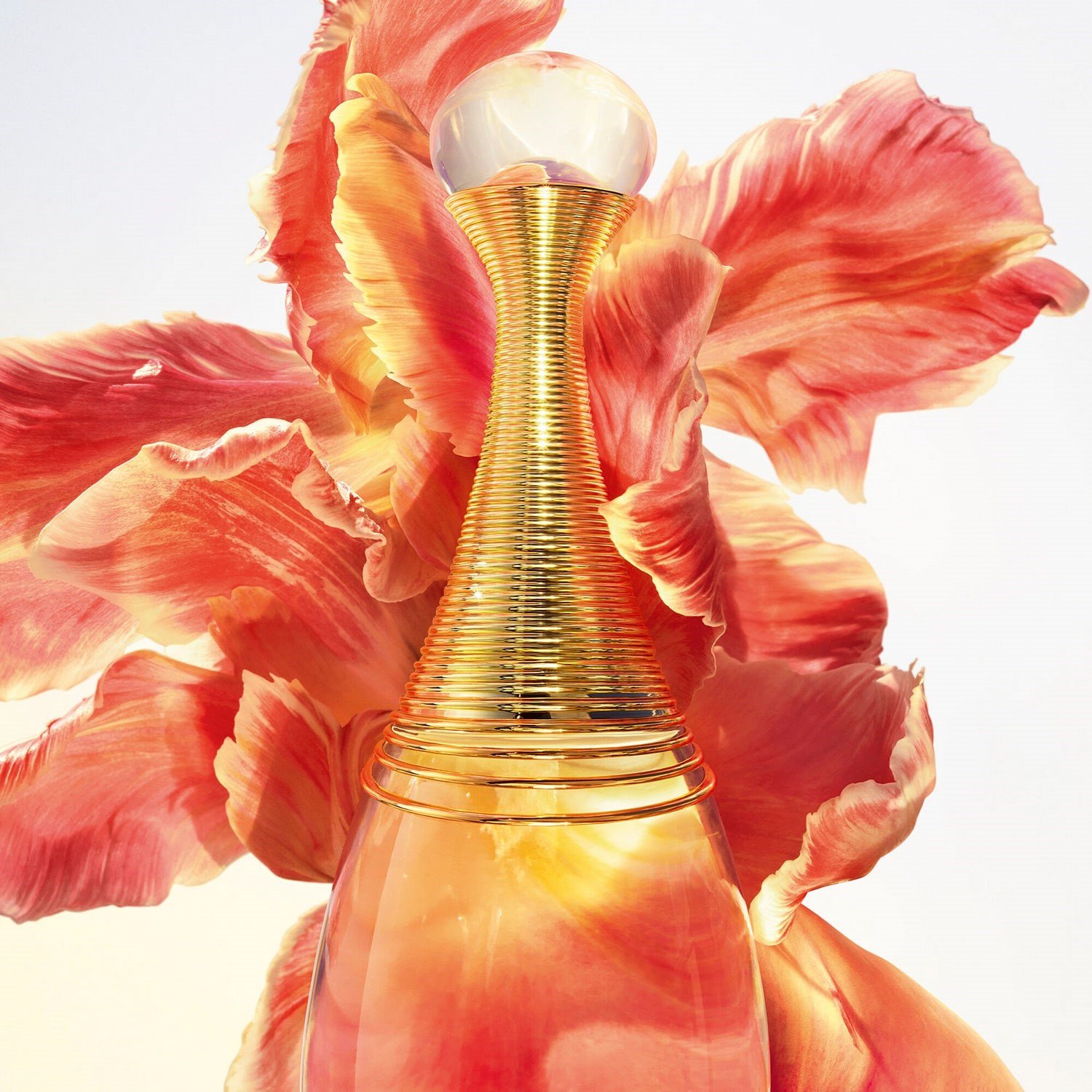jadore-infinissime-eau-de-parfum-ba3-b7.jpg