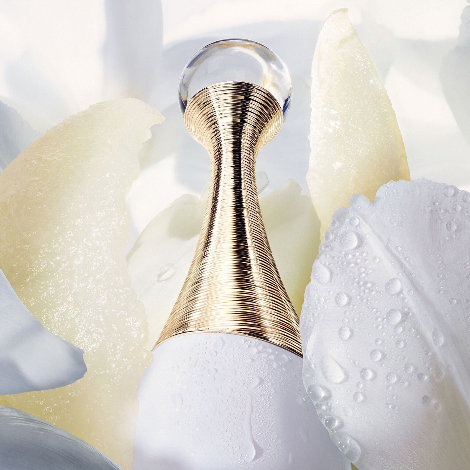 jadore-parfum-deau-eau-de-parfum-3caccc.jpg