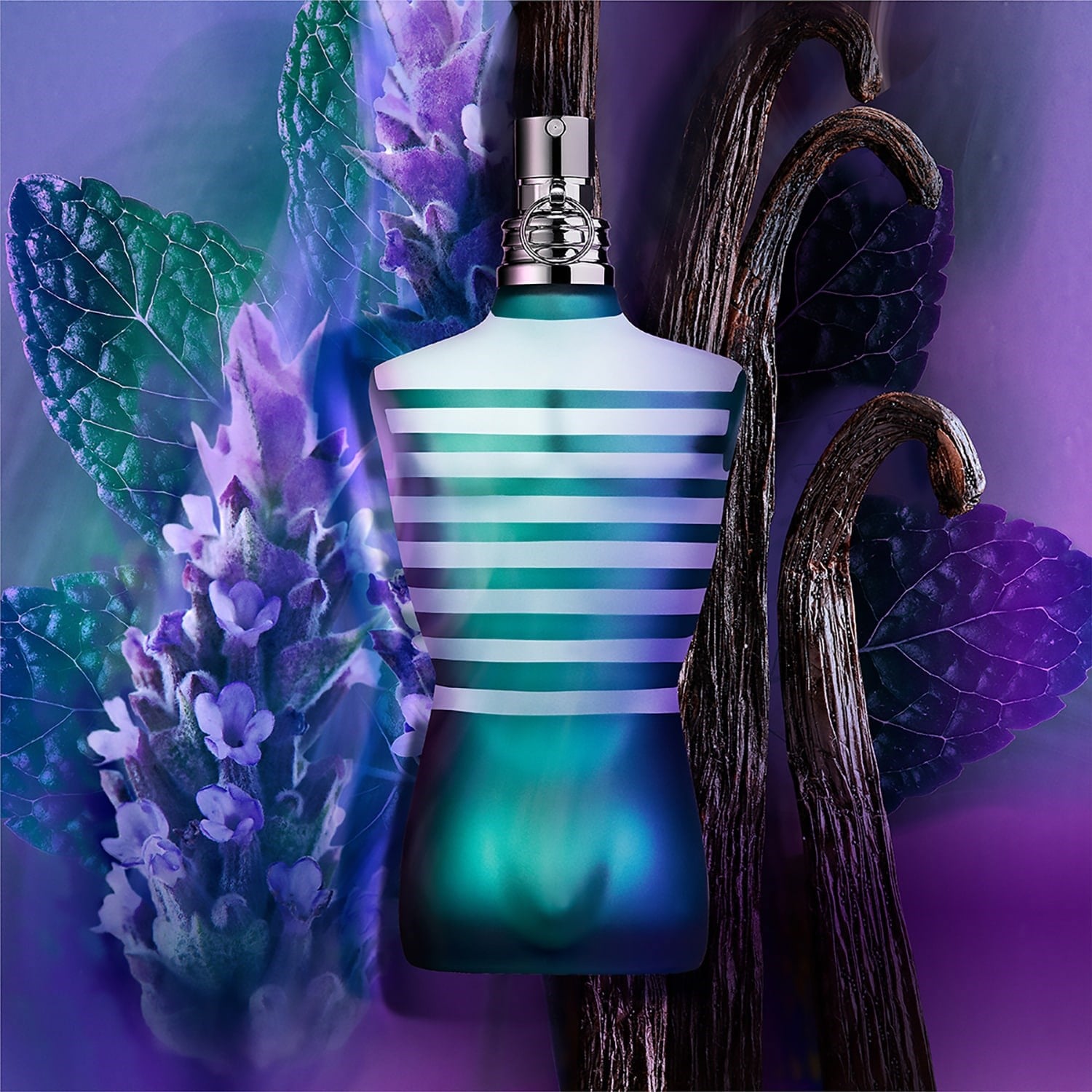 le-male-eau-de-toilette-nane-lavanta-v-e1fb95.jpg