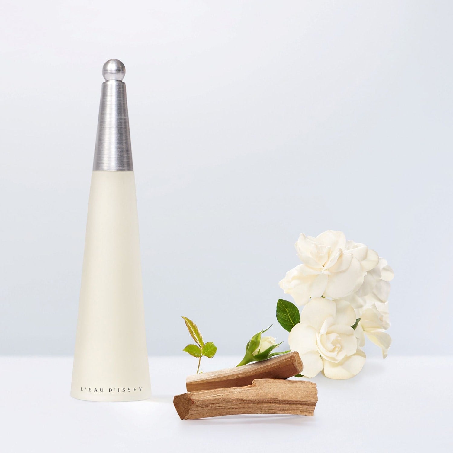 leau-dissey-eau-de-toilette-c10f1-.jpg