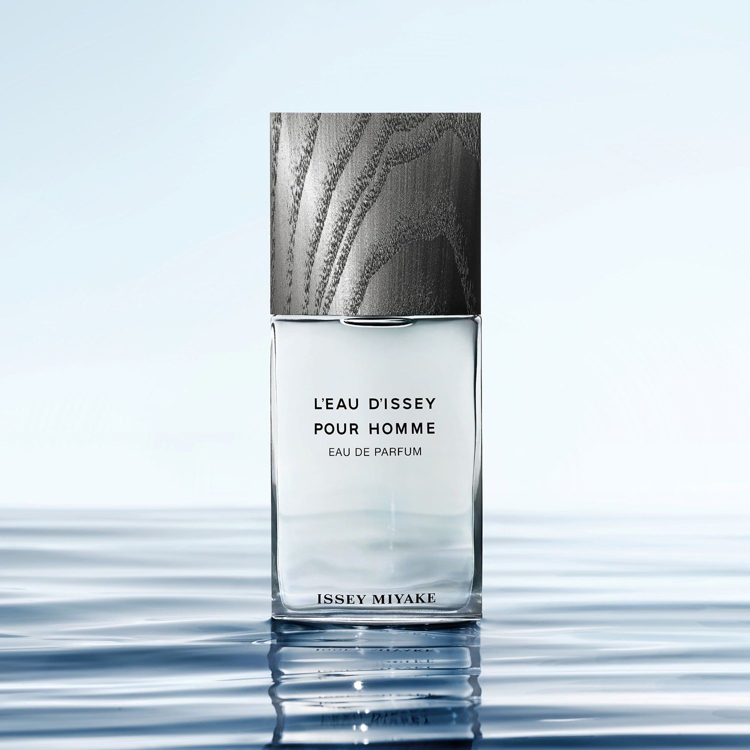 leau-dissey-pour-homme-eau-de-parfum-e0e-b9.jpg