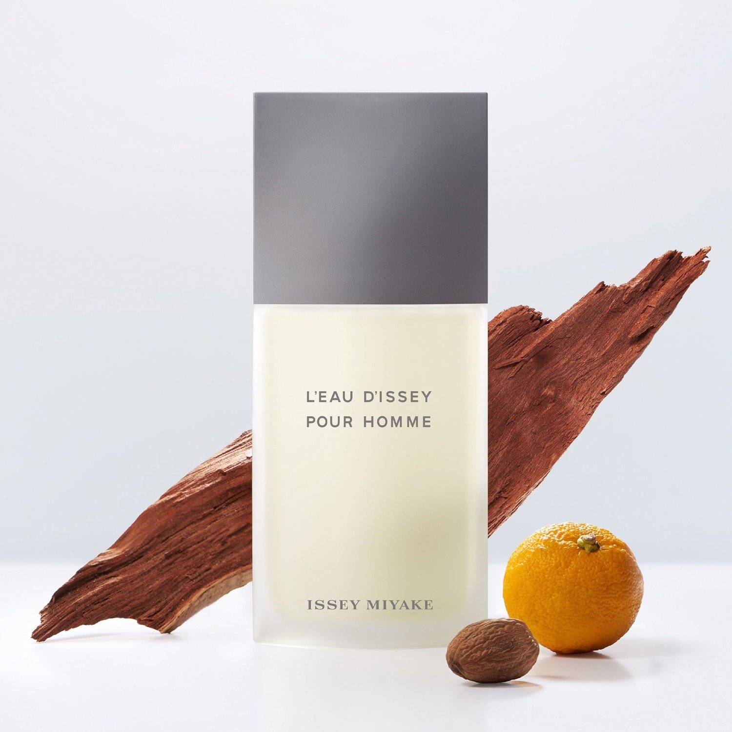 leau-dissey-pour-homme-eau-de-toilette-120f4-.jpg