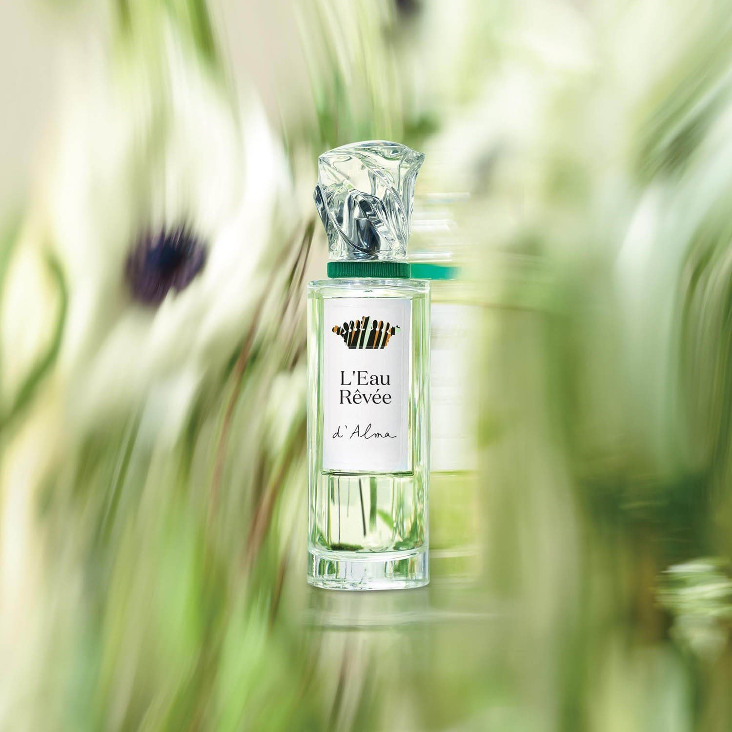 leau-r-ve-dalma-eau-de-toilette-0-4e86.jpg