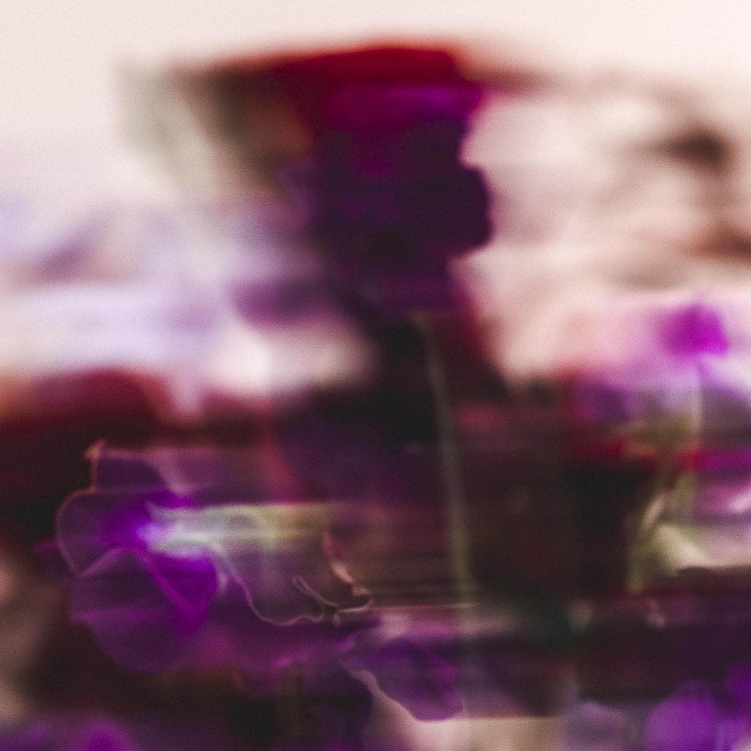 leau-r-ve-deliya-eau-de-toilette-8fd-e0.jpg
