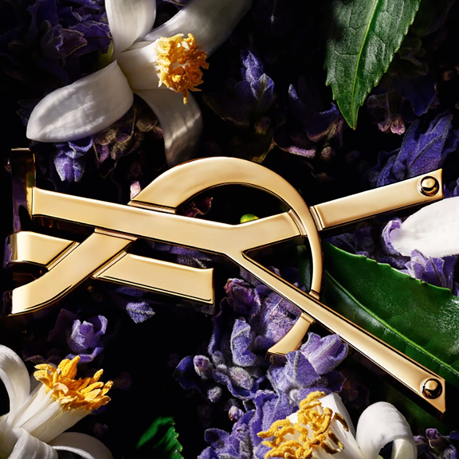 libre-eau-de-toilette--2c08f.jpg