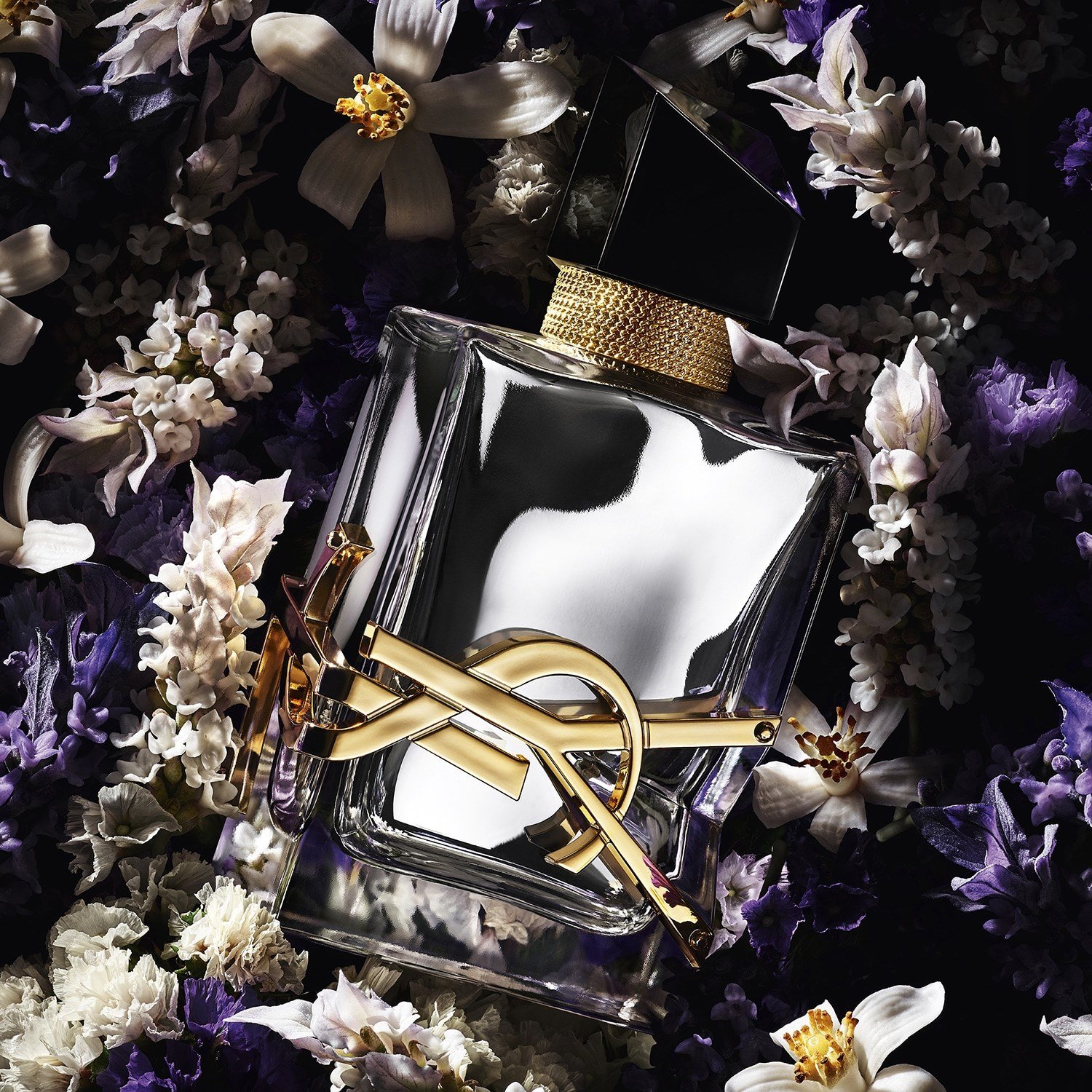 libre-labsolu-platine-absolu-de-parfum-51b-9d.jpg
