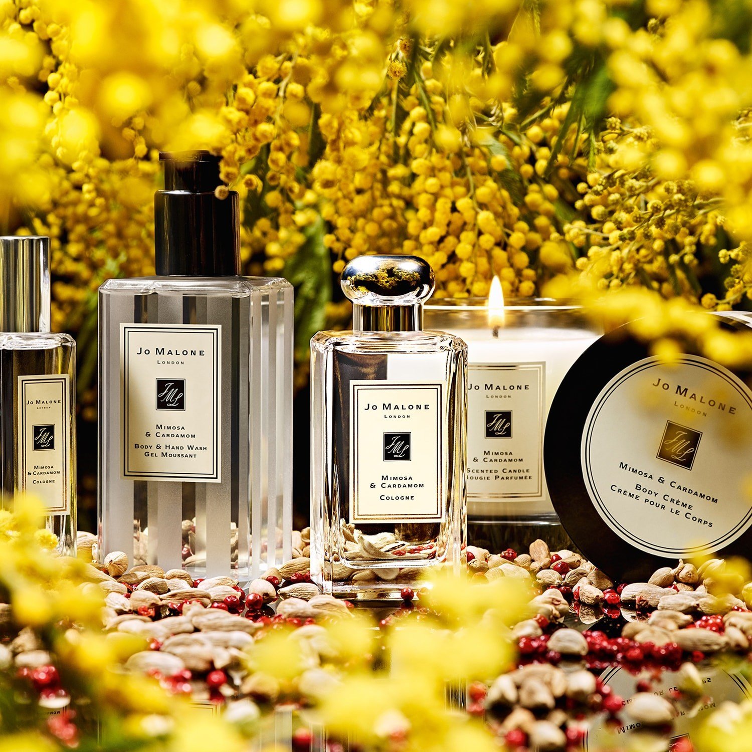mimosa-cardamom-cologne-2c2-49.jpg