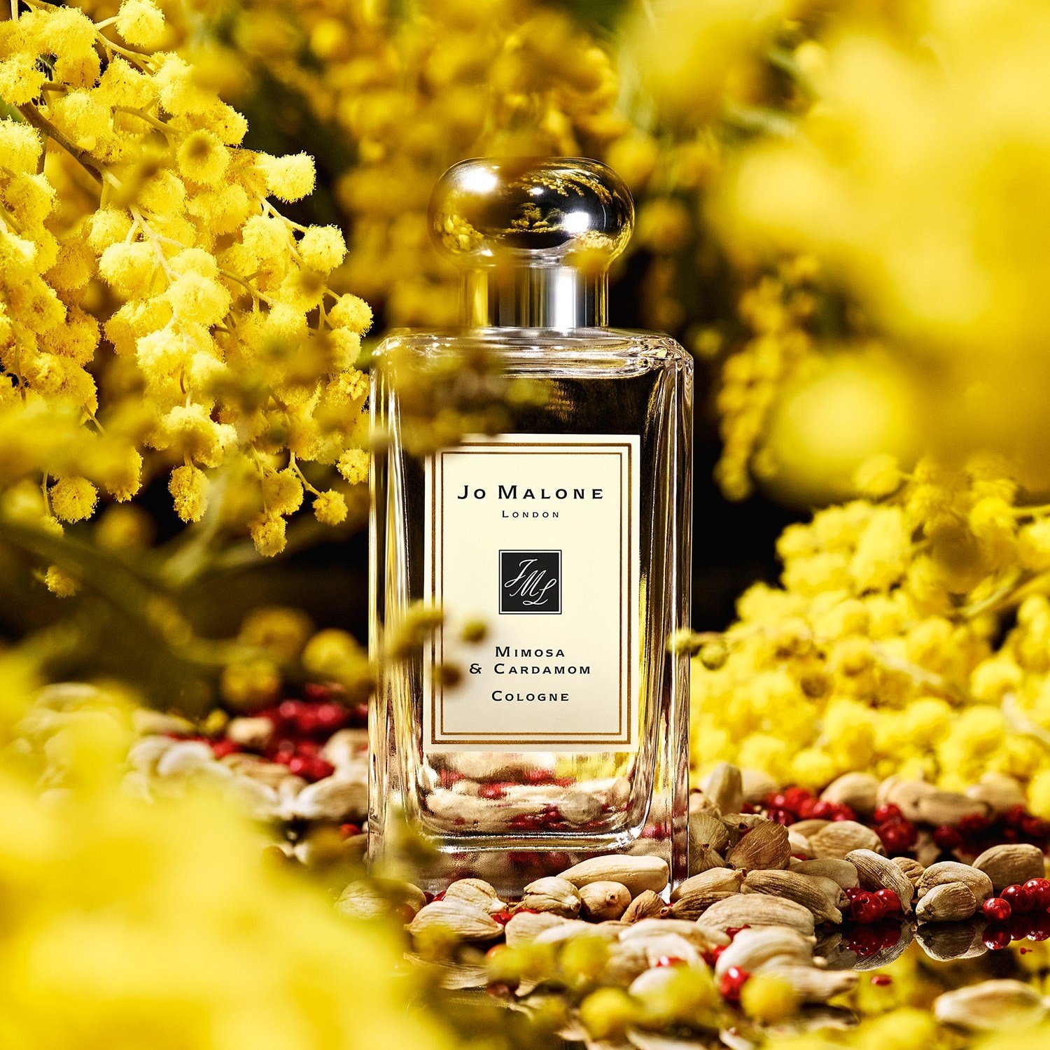 mimosa-cardamom-cologne-d064ee.jpg