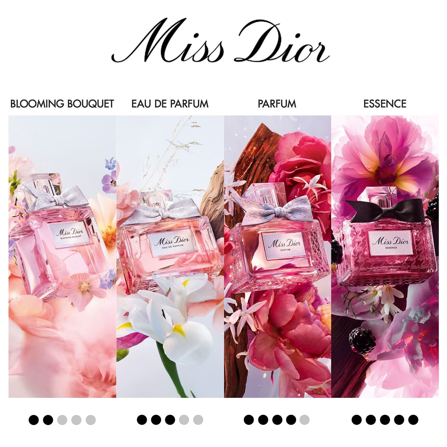 miss-dior-eau-de-parfum-4-4868.jpg