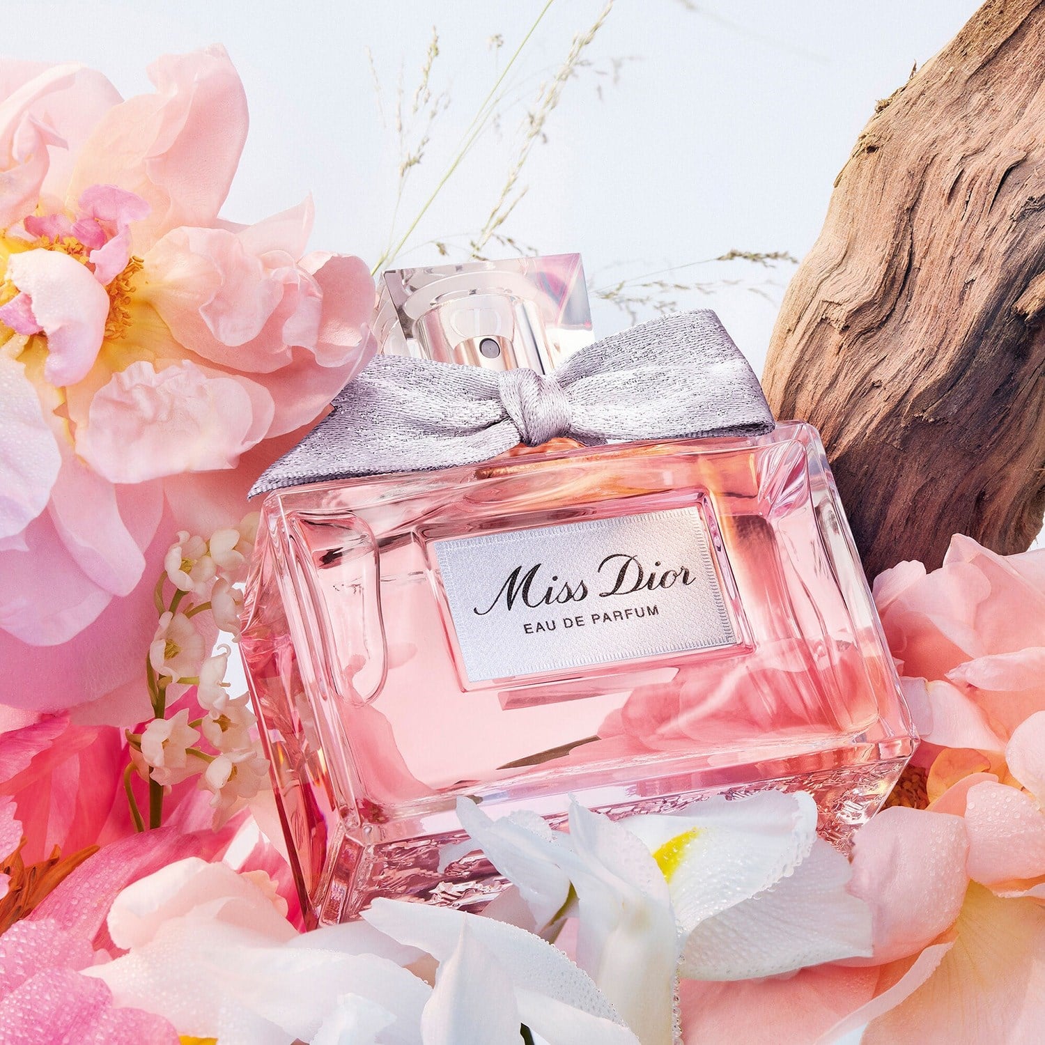 miss-dior-eau-de-parfum-c9-8b7.jpg