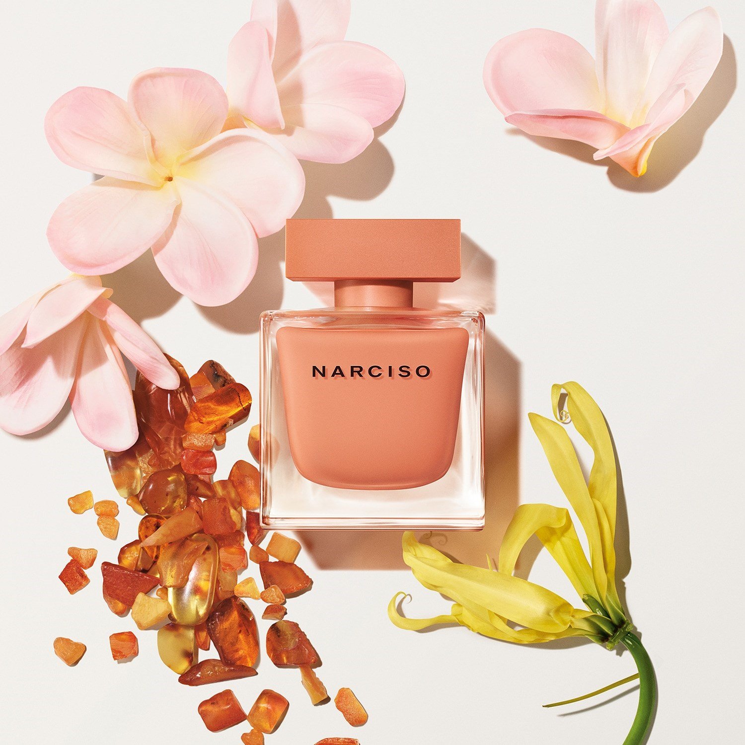 narciso-ambre-eau-de-parfum-c1-c2e.jpg