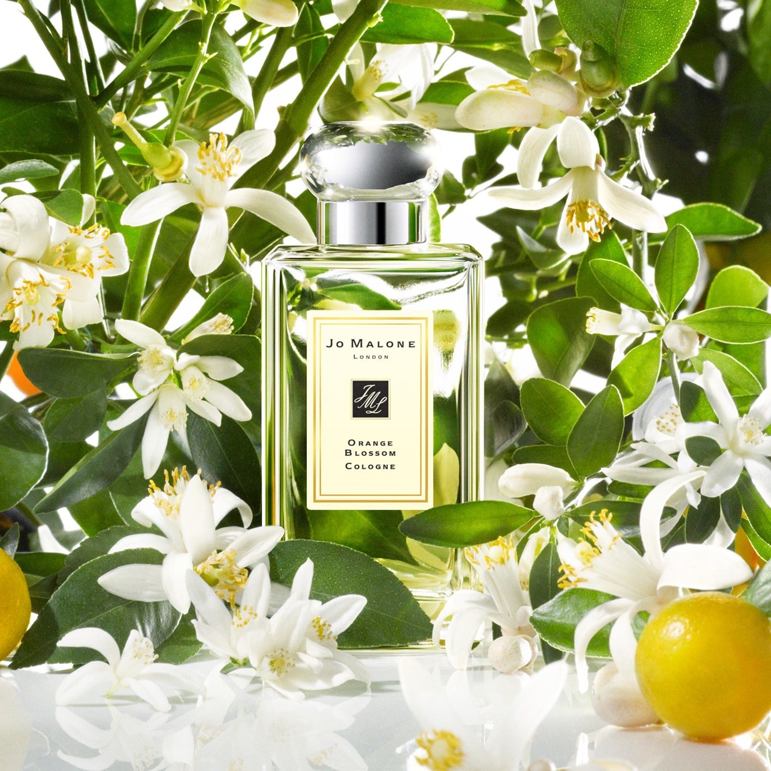 orange-blossom-cologne-9a-9c4.jpg