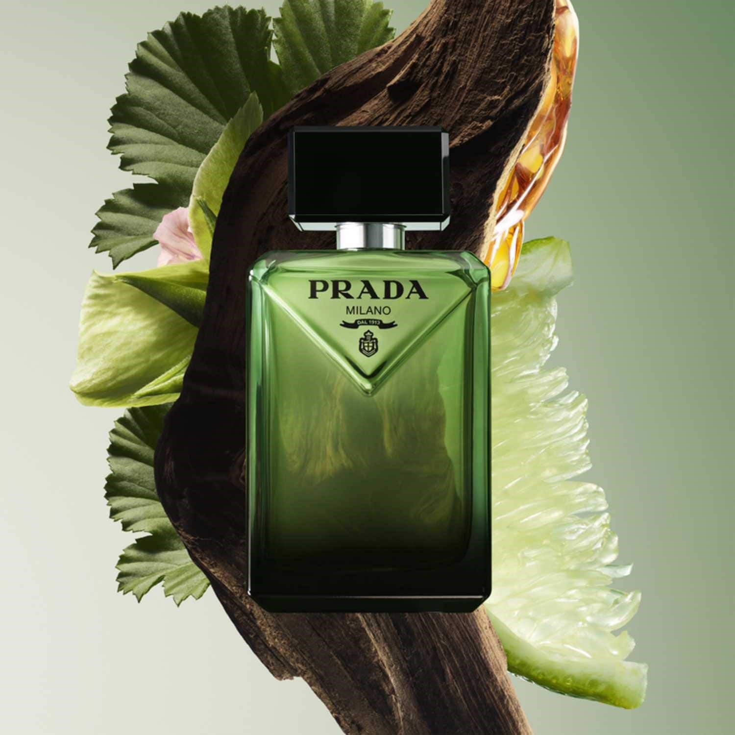 paradigme-eau-de-parfum-aabe9f.jpg