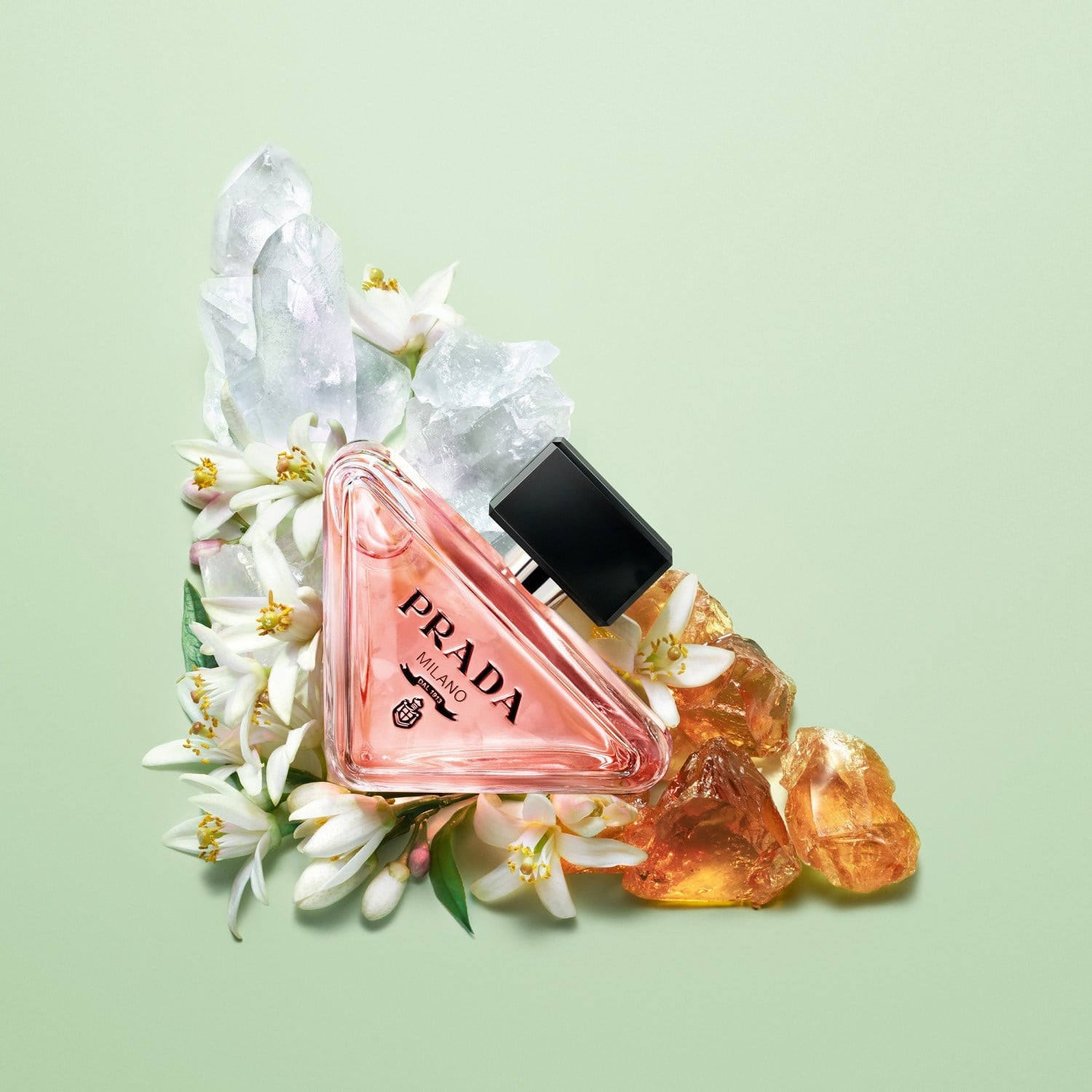 paradoxe-eau-de-parfum-4ef0f5.jpg