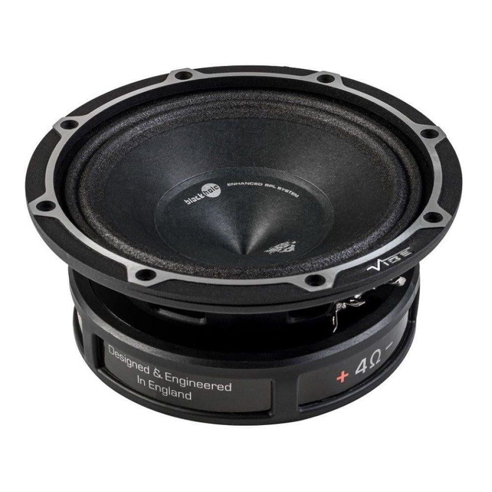pioneer-ts-m650pro-500-w-16-cm-midrang-2-1a2d.jpeg