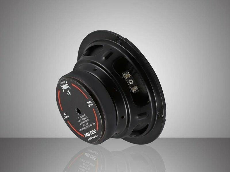 pioneer-ts-m650pro-500-w-16-cm-midrang-436c-a.jpeg
