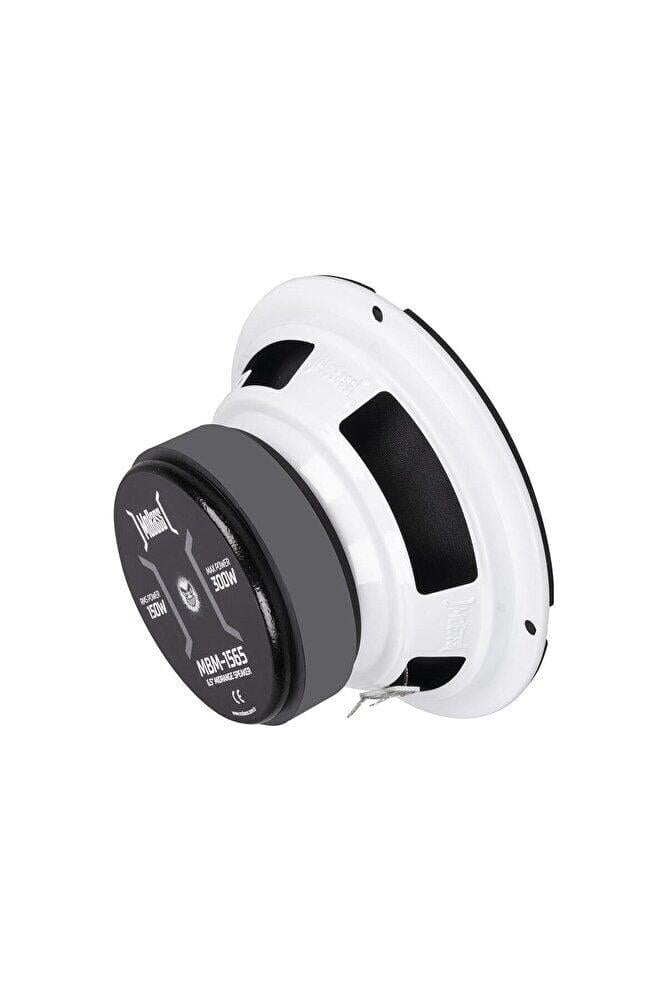 pioneer-ts-m650pro-500-w-16-cm-midrang-94-2e7.jpeg