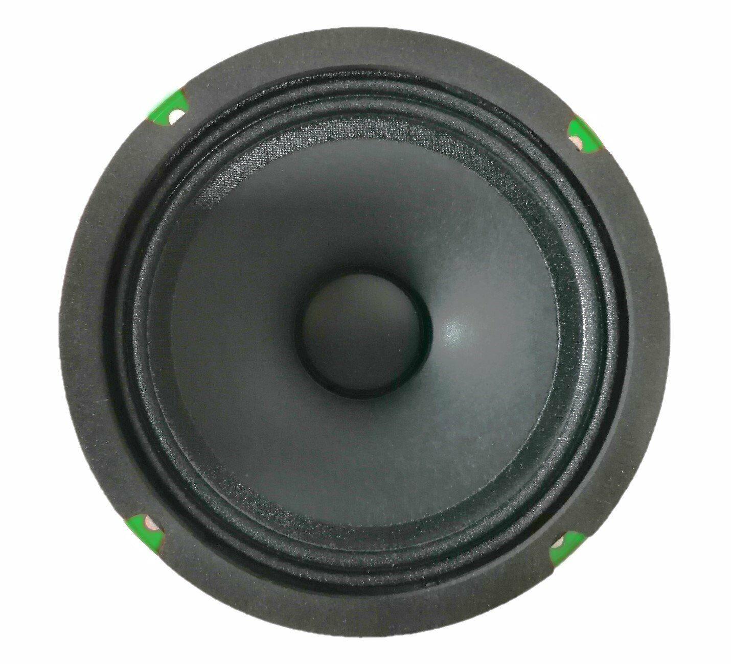 pioneer-ts-m650pro-500-w-16-cm-midrang-ccb-80.jpeg