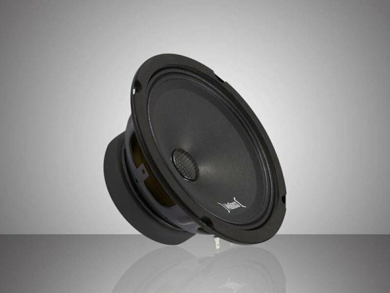 pioneer-ts-m650pro-500-w-16-cm-midrang-e-10ae.jpeg