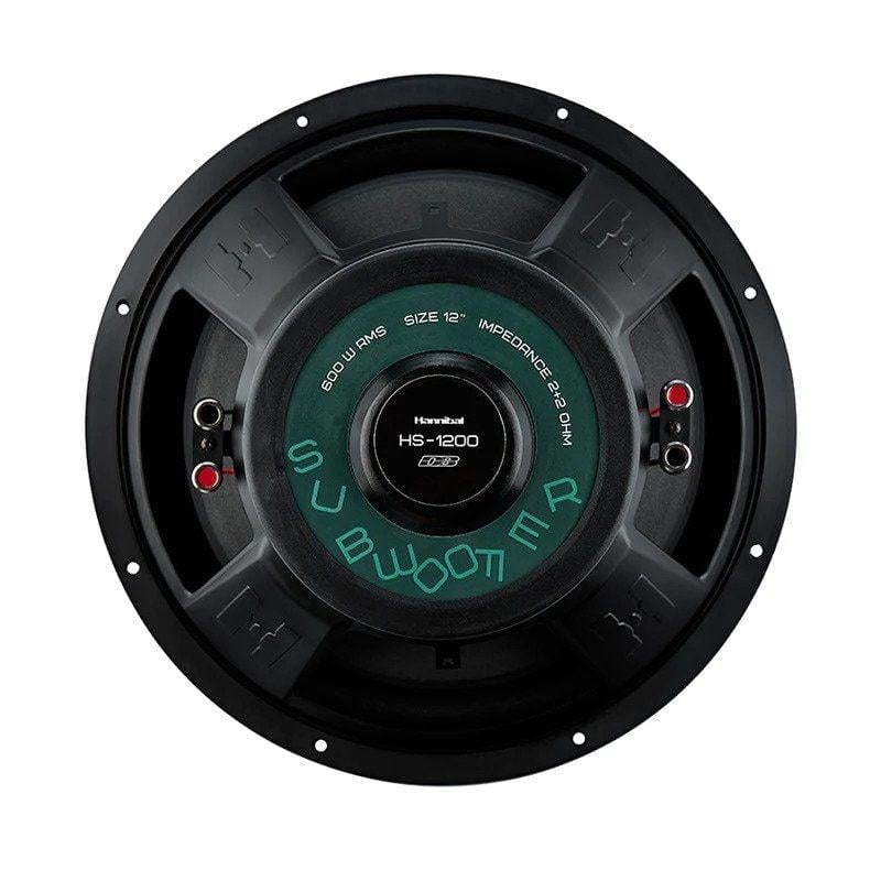 pioneer-ts-m650pro-500-w-16-cm-midrang-e2-506.jpeg