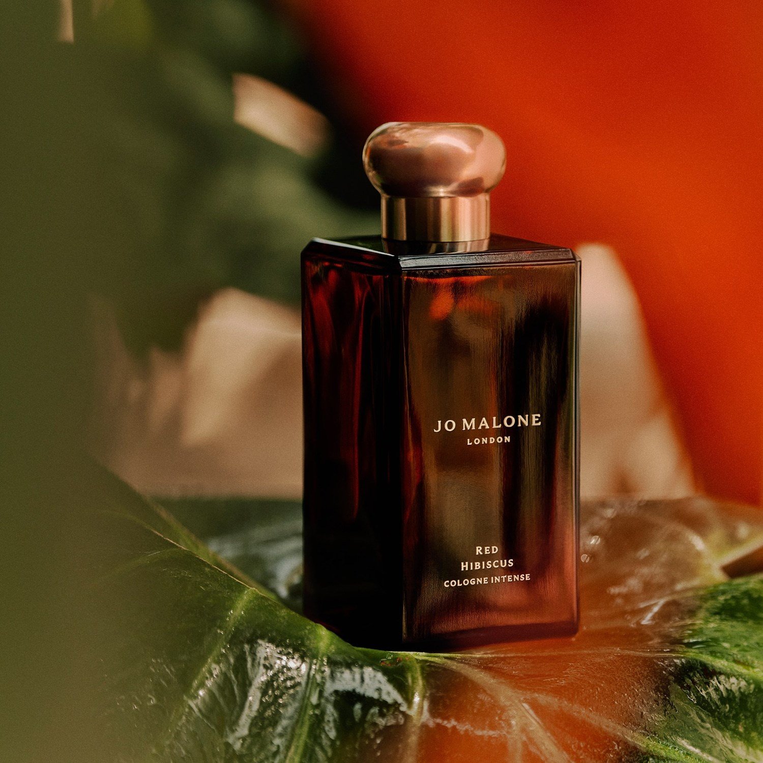 red-hibiscus-cologne-intense-15de82.jpg