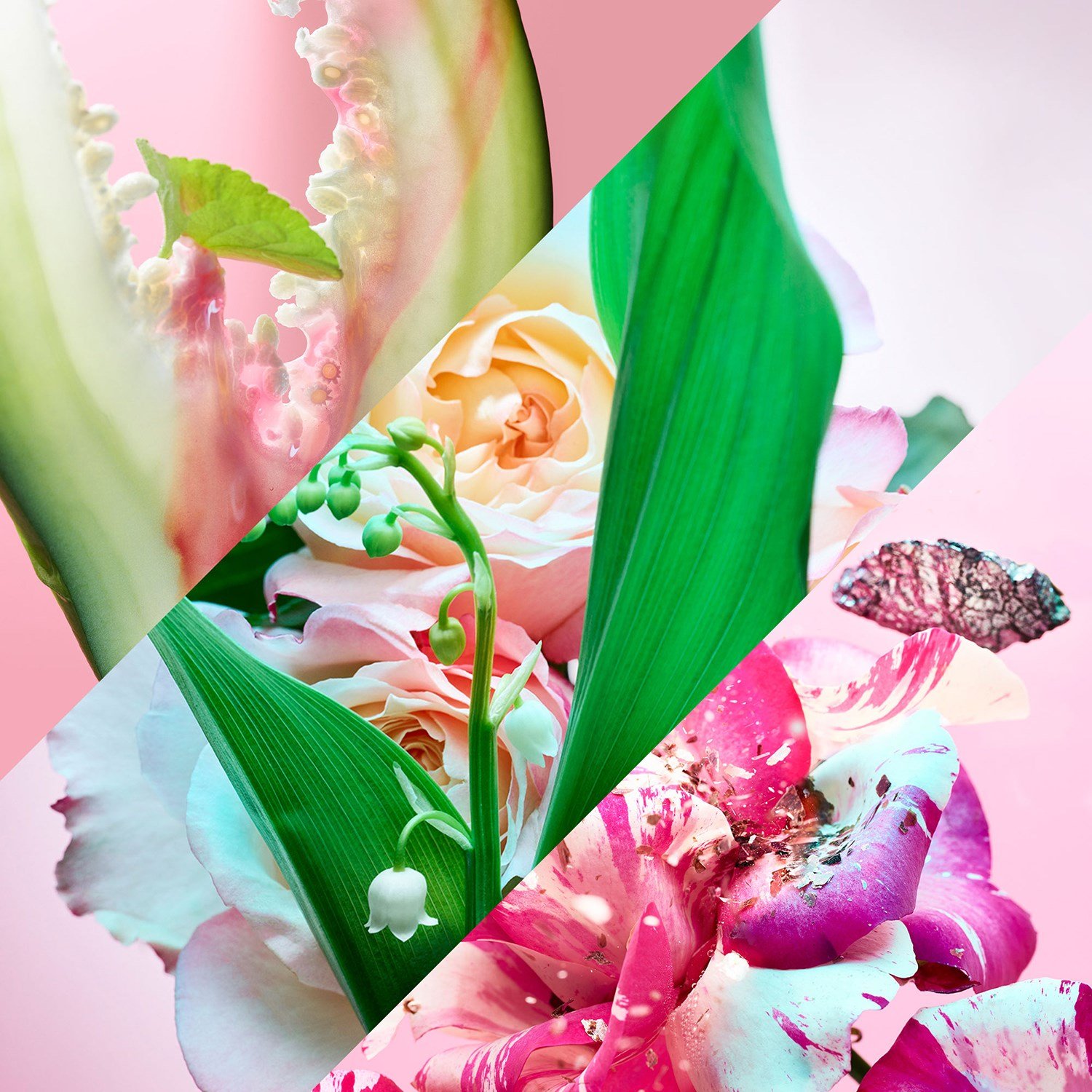 rose-goldea-blossom-delight-eau-de-par-7d224c.jpg