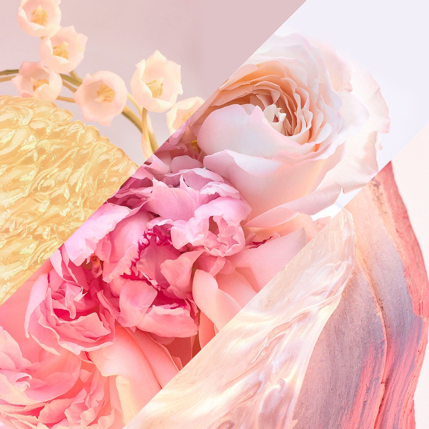 rose-goldea-blossom-delight-eau-de-toi-e765a6.jpg