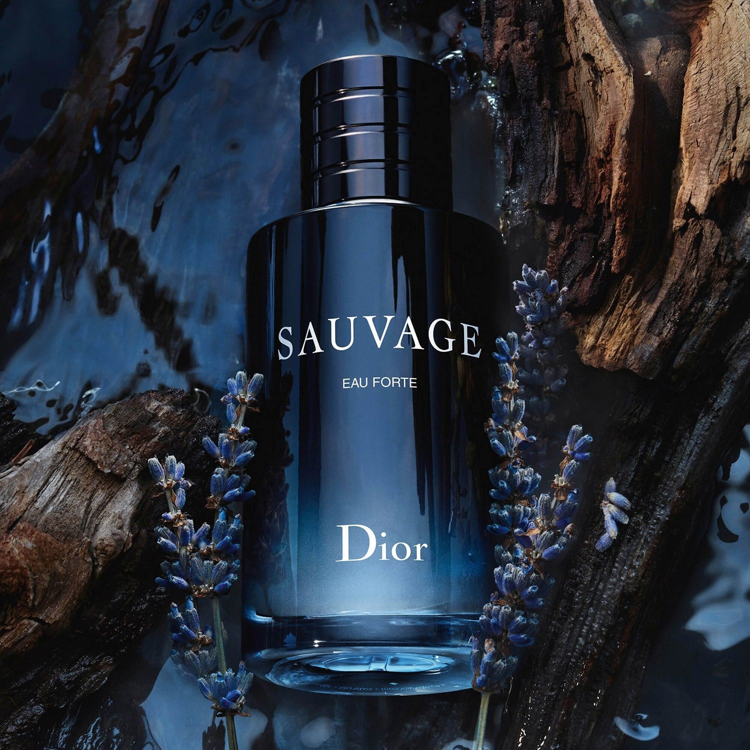 sauvage-eau-forte-alcohol-free-parfum-2ca45d.jpg