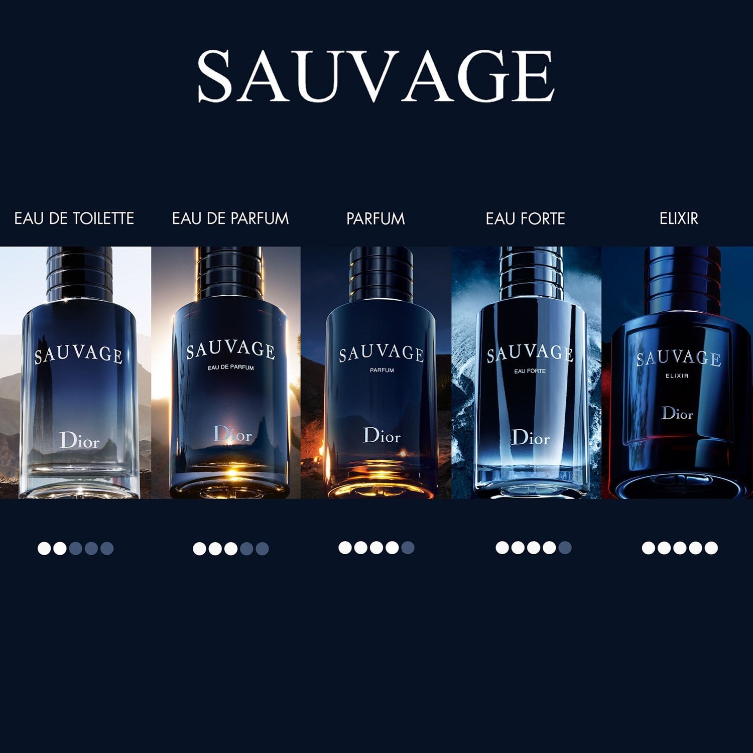 sauvage-parfum-ff1-61.jpg