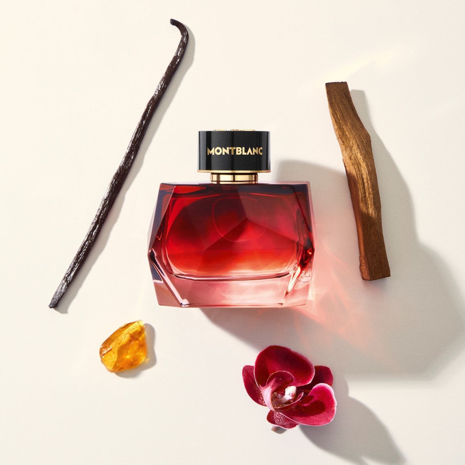 signature-elixir-eau-de-parfum-mbl-sig-c814-4.jpg