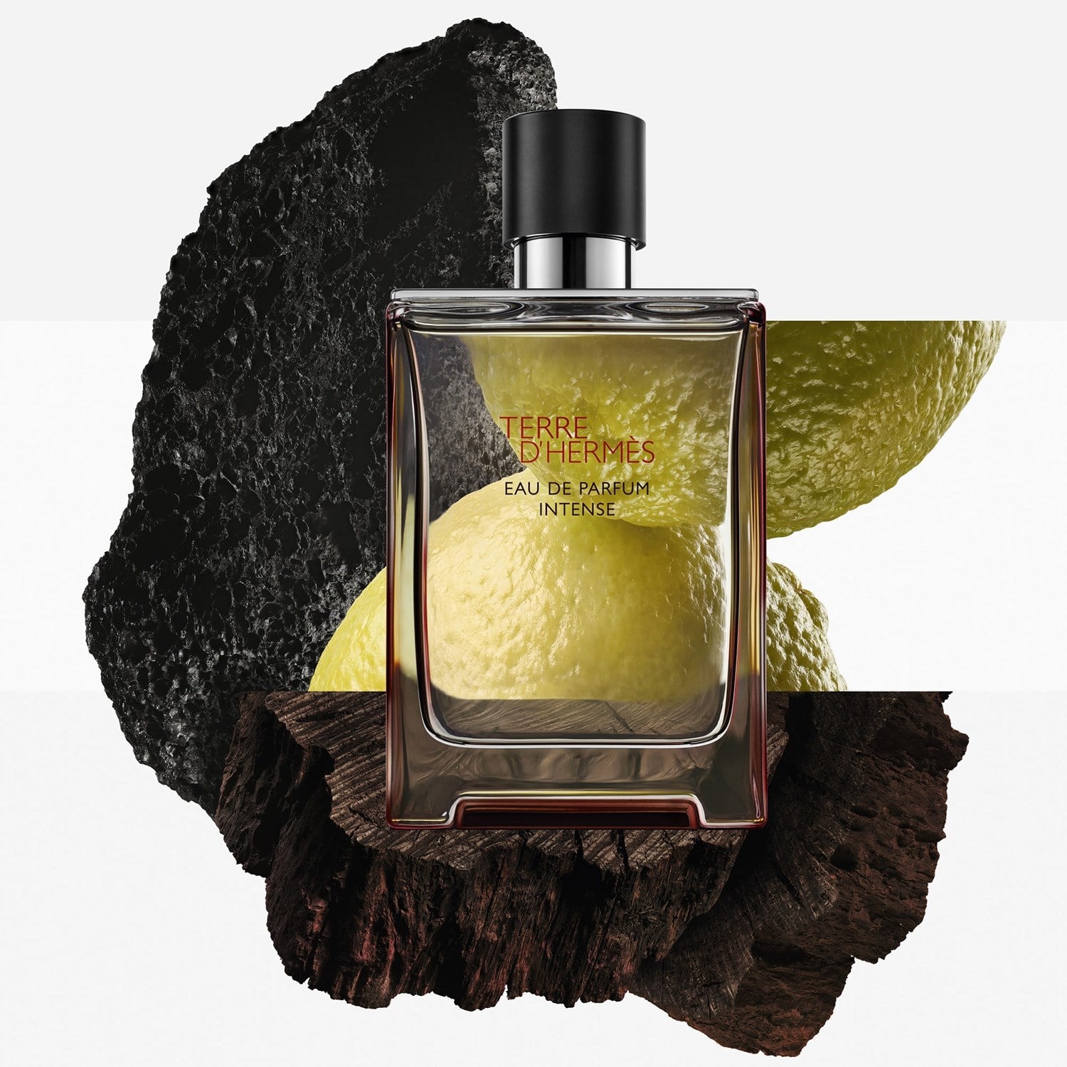 terre-dherm-s-eau-de-parfum-intense-2d9593.jpg