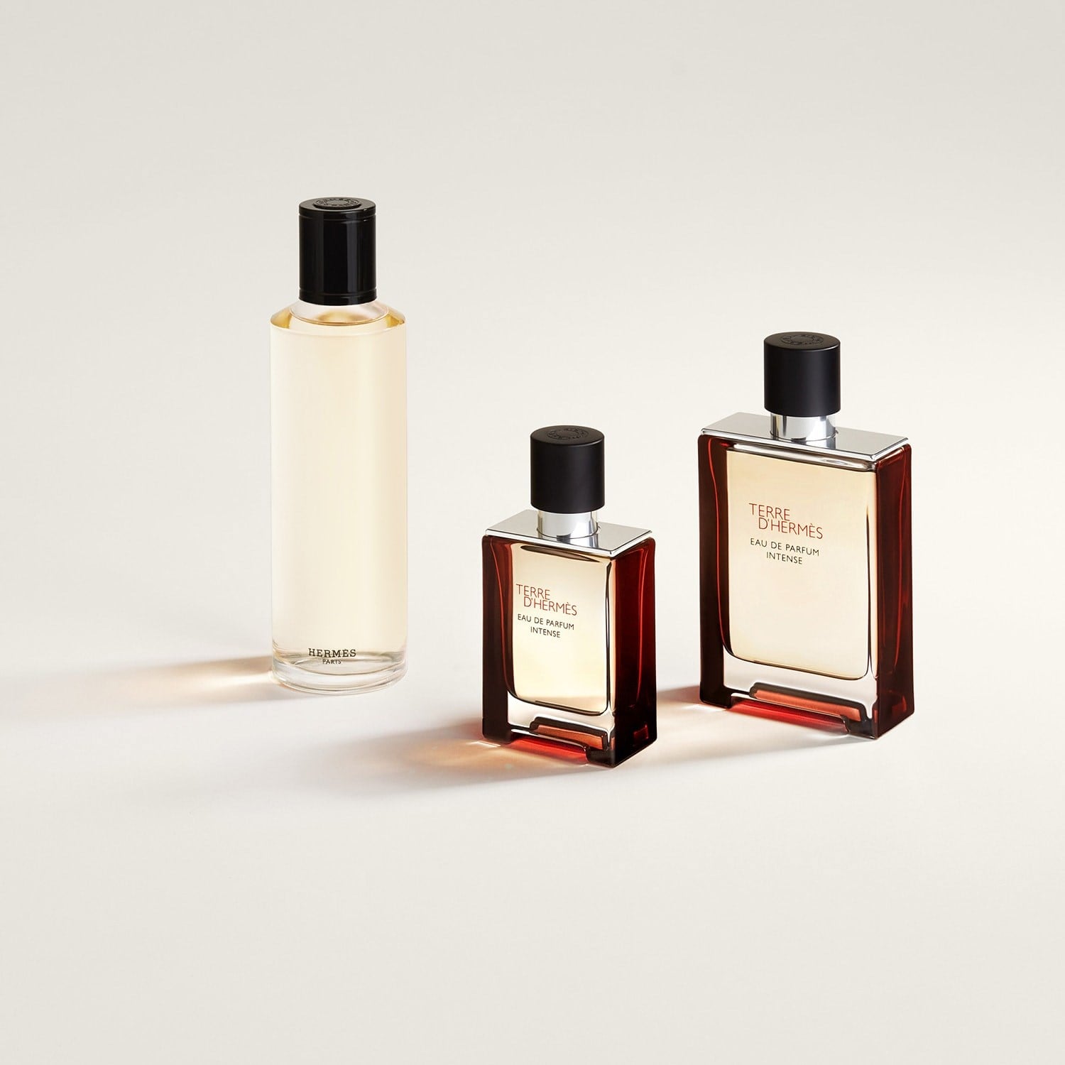 terre-dherm-s-eau-de-parfum-intense-a5fc-d.jpg