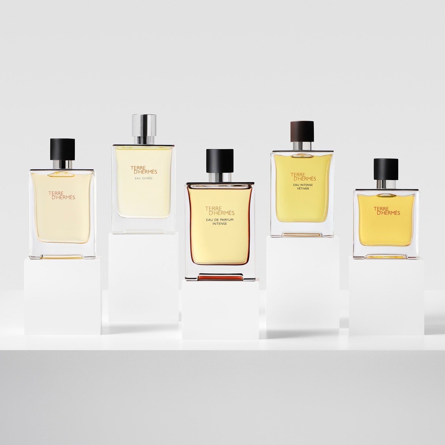 terre-dherm-s-eau-de-parfum-intense-eaf-a7.jpg