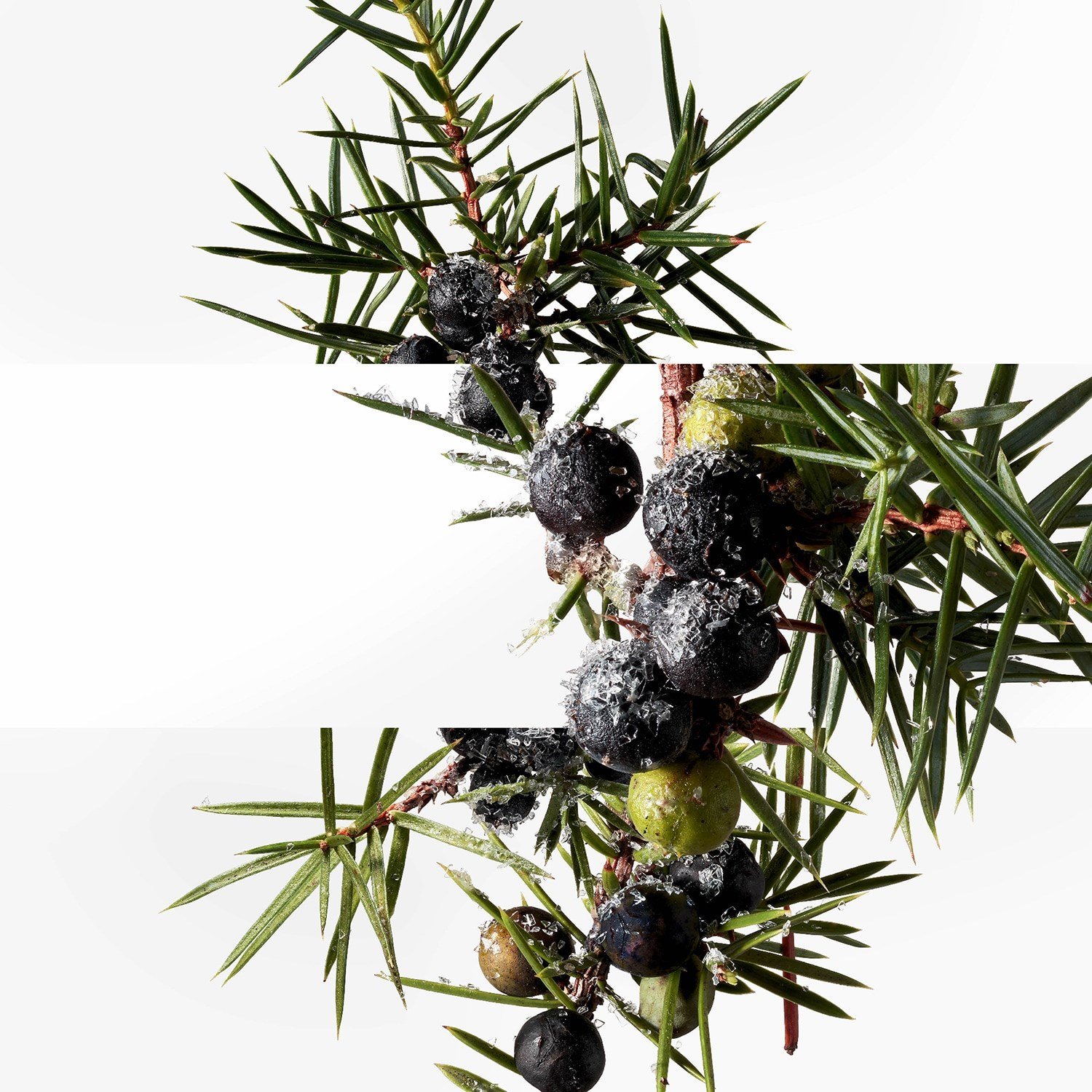 terre-dherm-s-eau-givre-eau-de-parfum--6c2c8.jpg