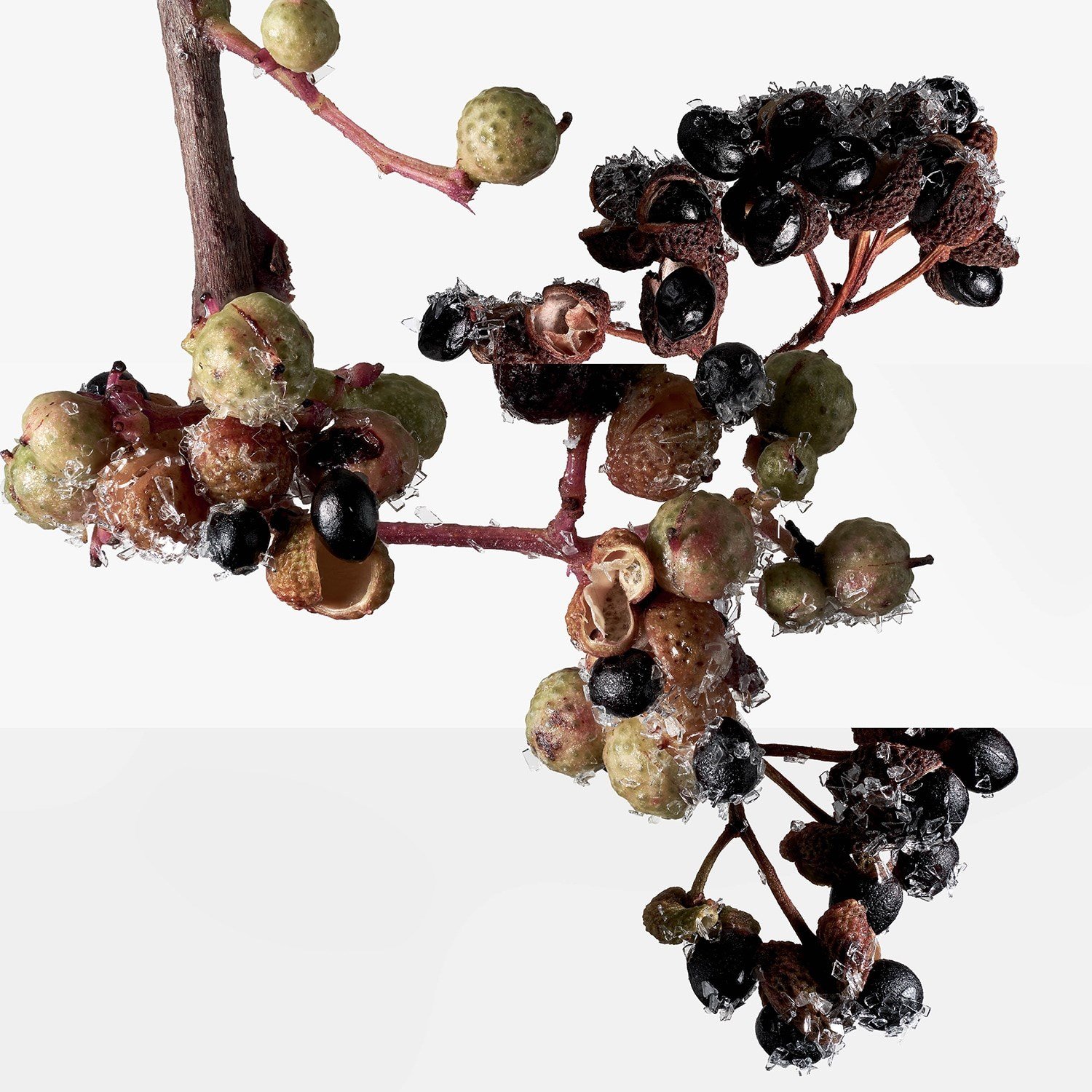 terre-dherm-s-eau-givre-eau-de-parfum-3ddb32.jpg