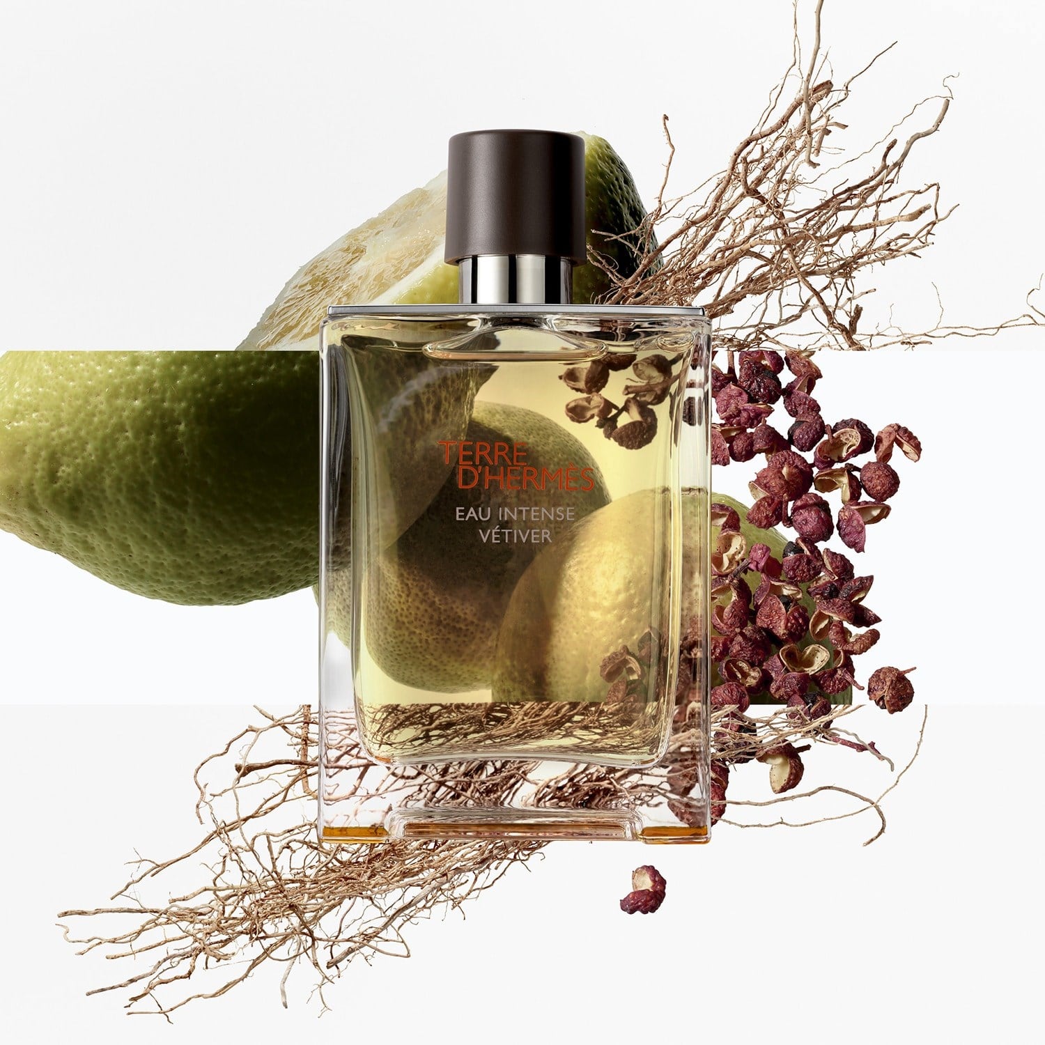 terre-dherm-s-eau-intense-vtiver-eau-d-014a-4.jpg