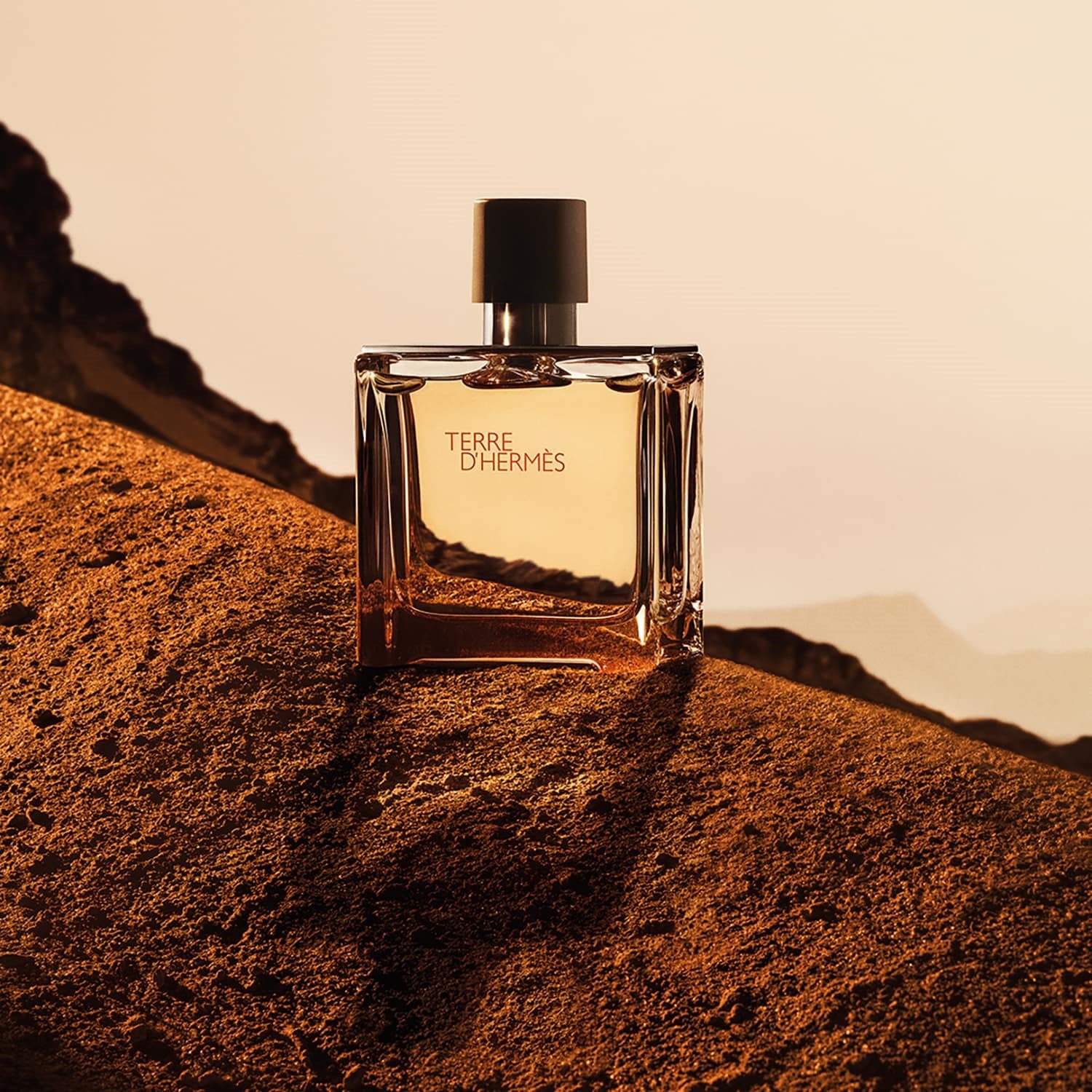 terre-dherm-s-parfum-3746aa.jpg