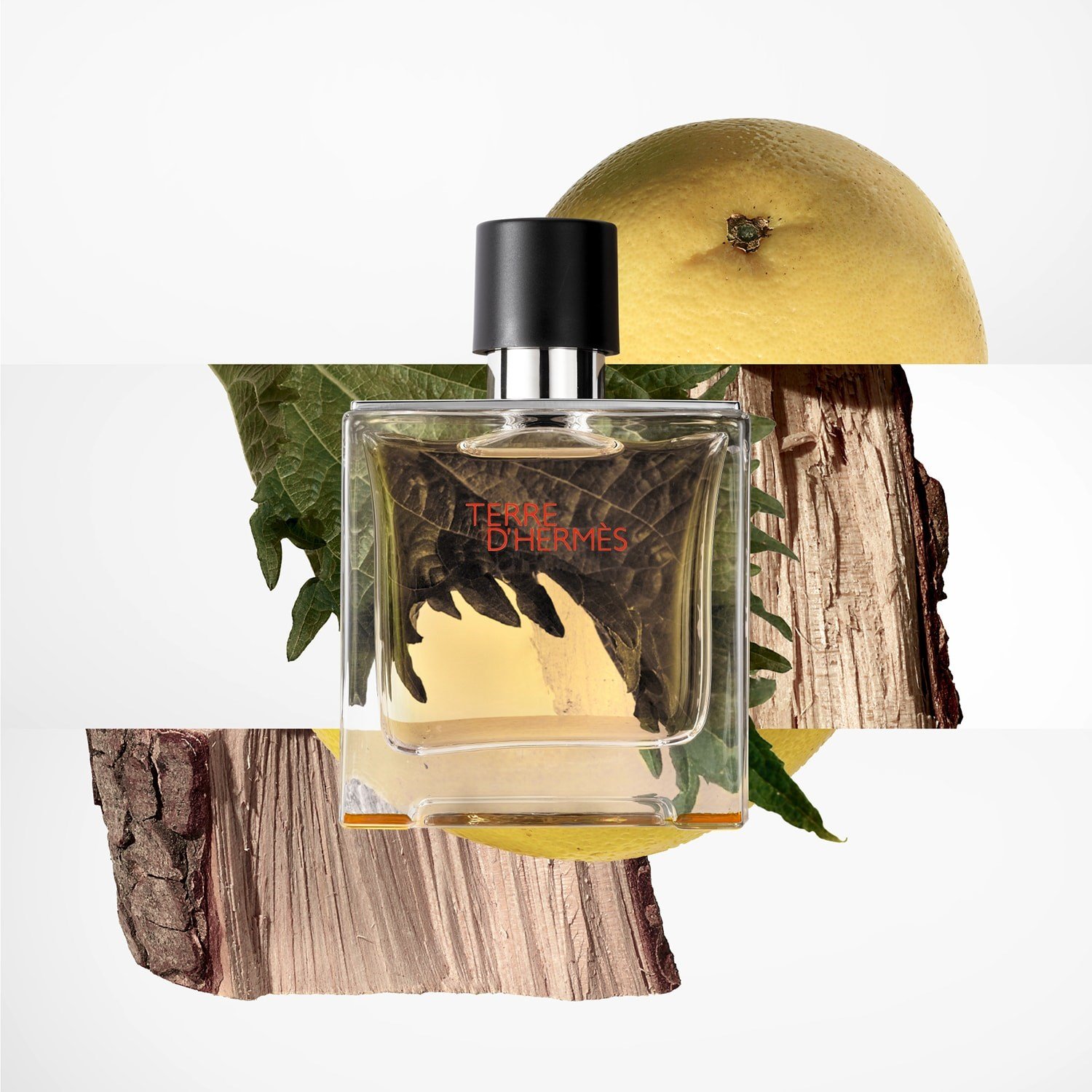 terre-dherm-s-parfum-a693-e.jpg