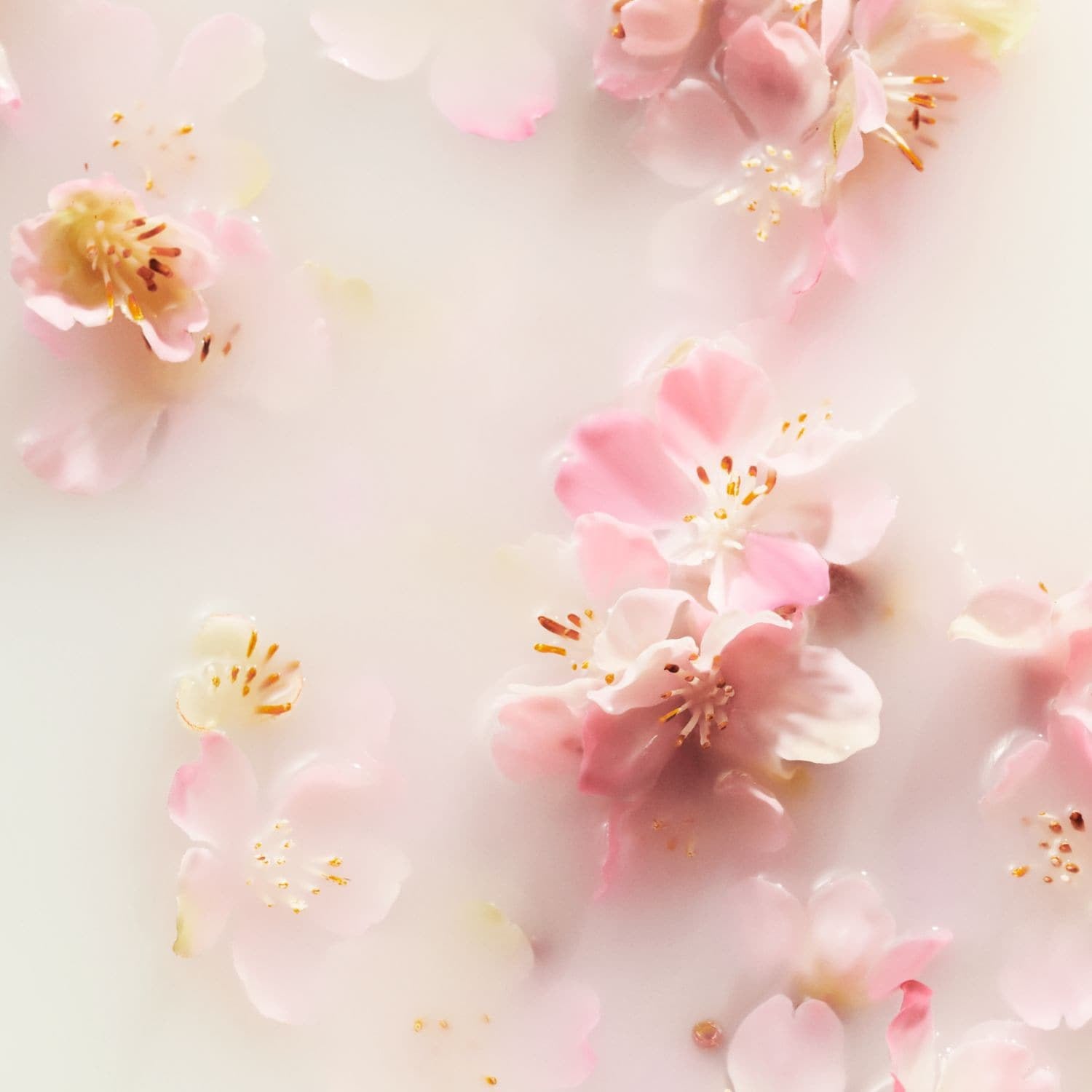 the-ritual-of-sakura-parfumlu-sac-vucu-660ee-.jpeg