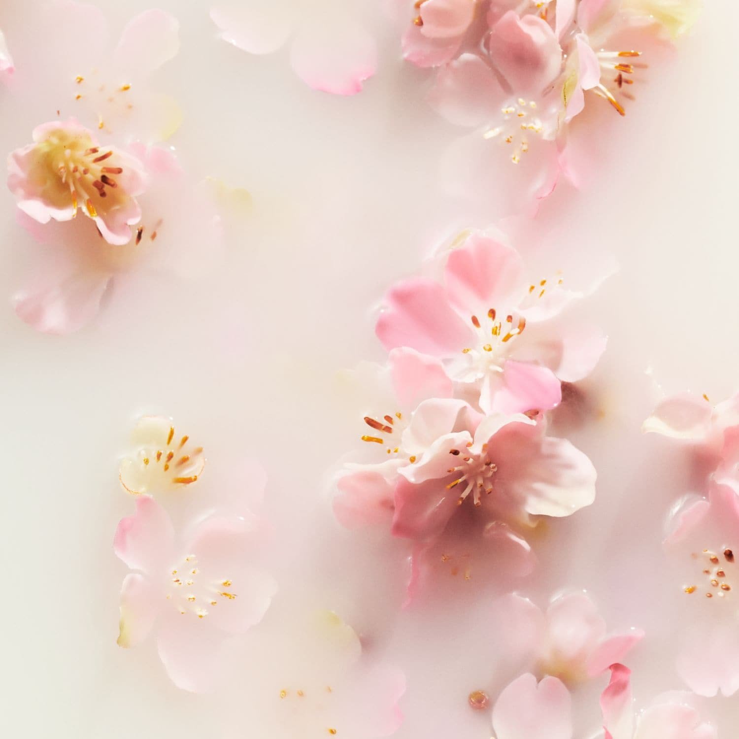 the-ritual-of-sakura-parfumlu-sac-vucu-ef4127.jpeg