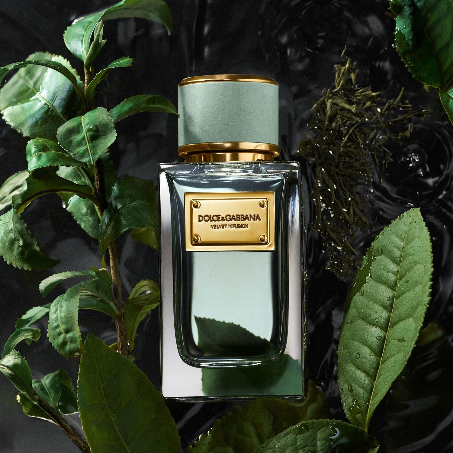 velvet-infusion-eau-de-parfum-7a-87b.jpg