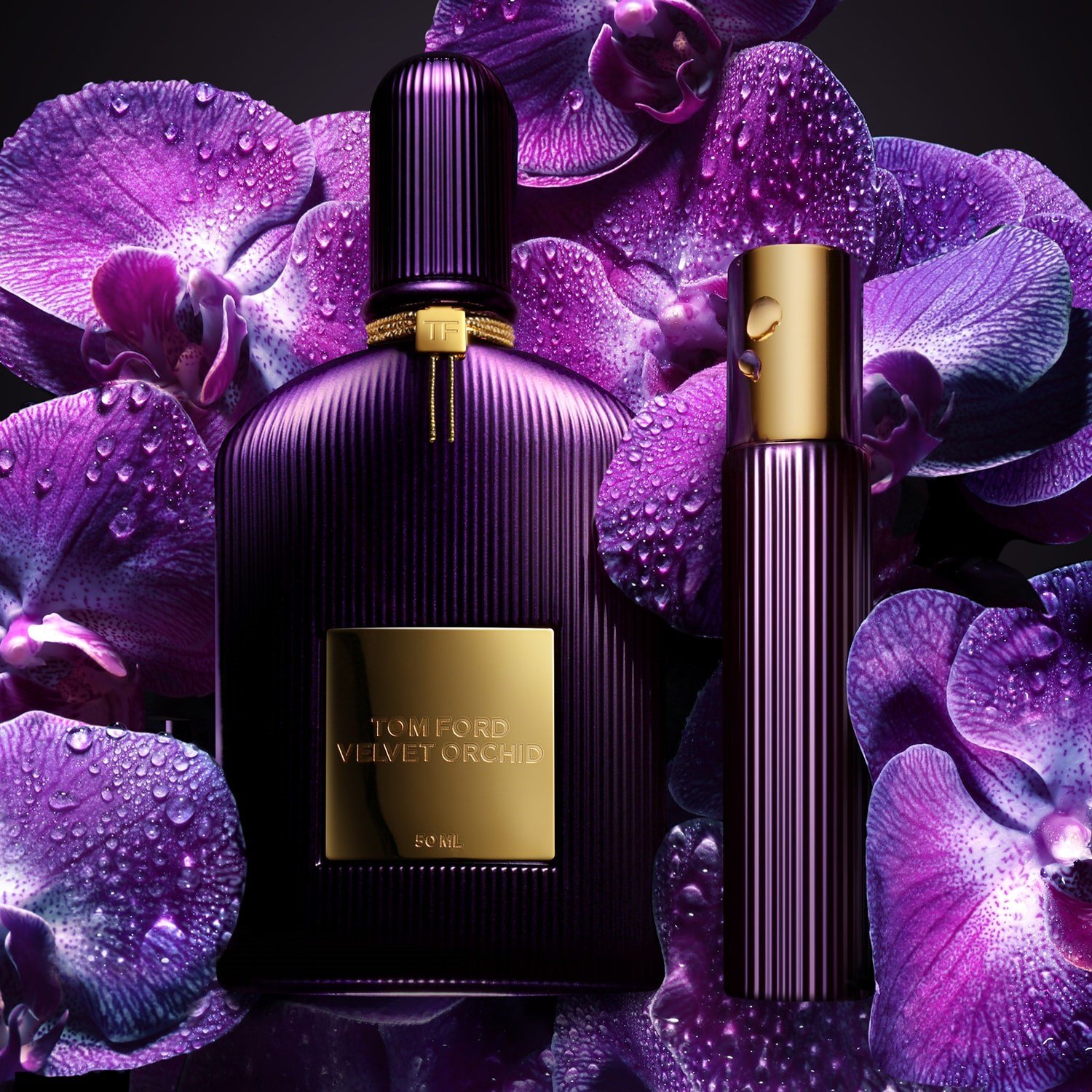 velvet-orchid-eau-de-parfum-6a7141.jpg