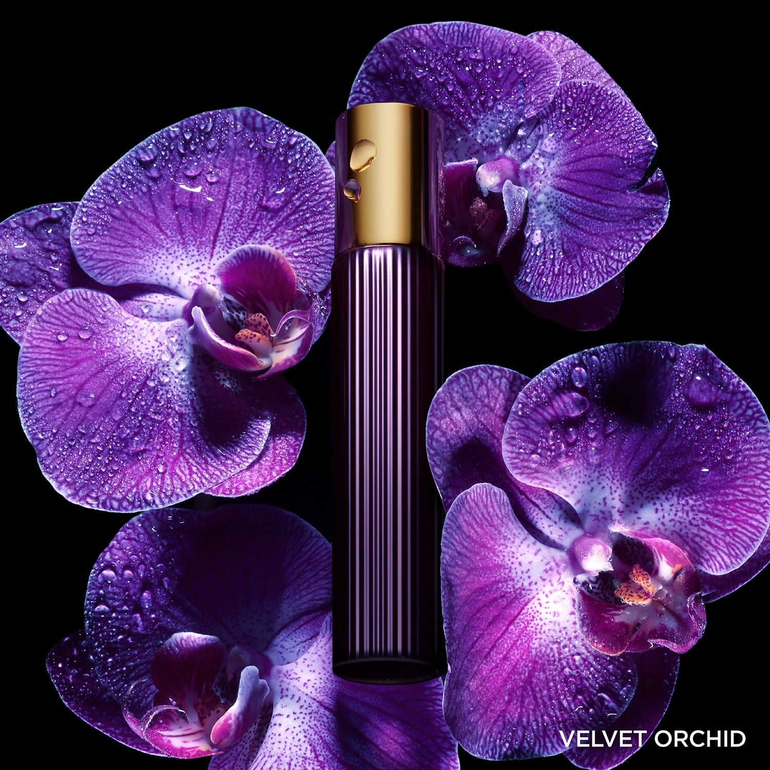velvet-orchid-eau-de-parfum-a308-f.jpg