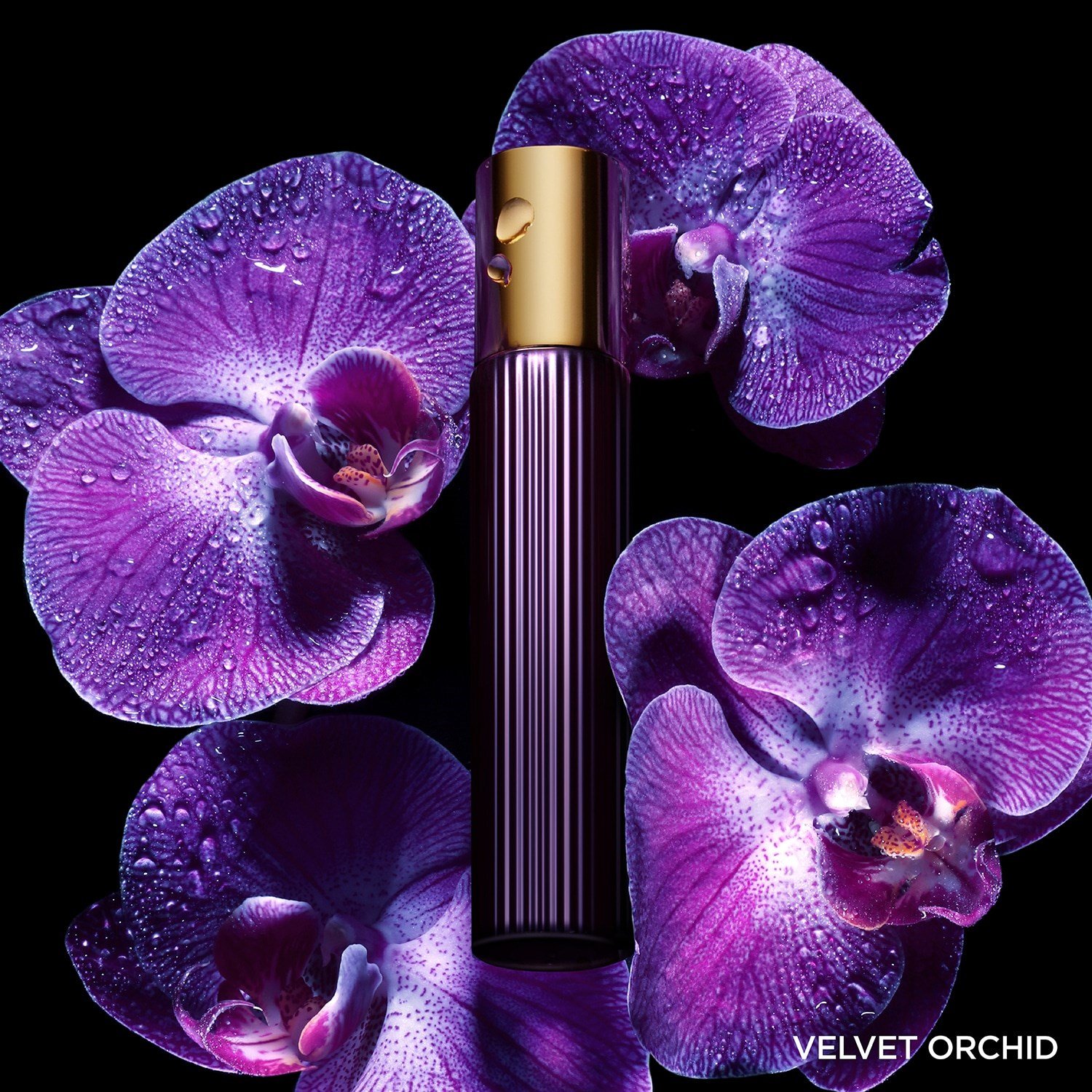 velvet-orchid-eau-de-parfum-b46b26.jpg