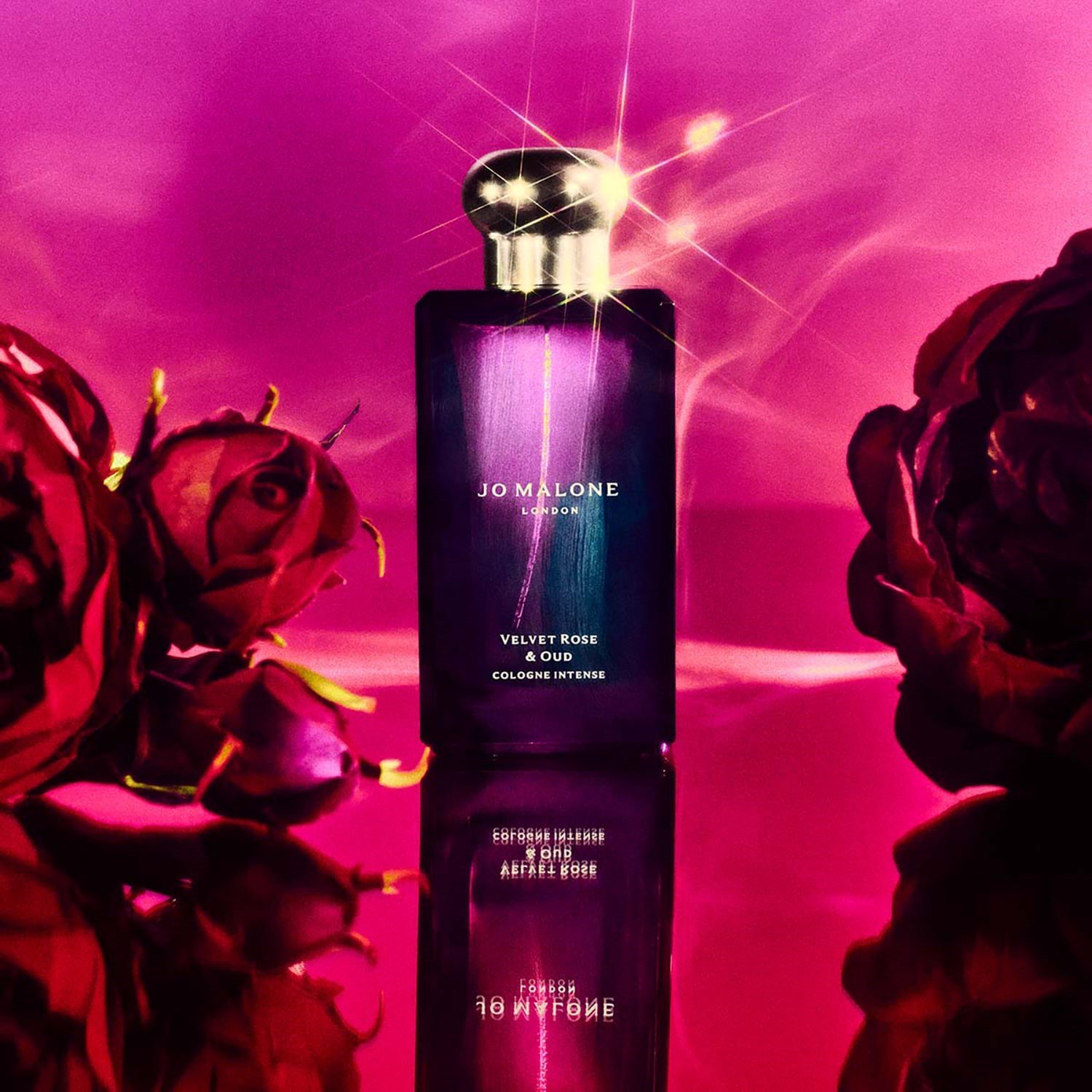 velvet-rose-oud-cologne-9a6d85.jpg