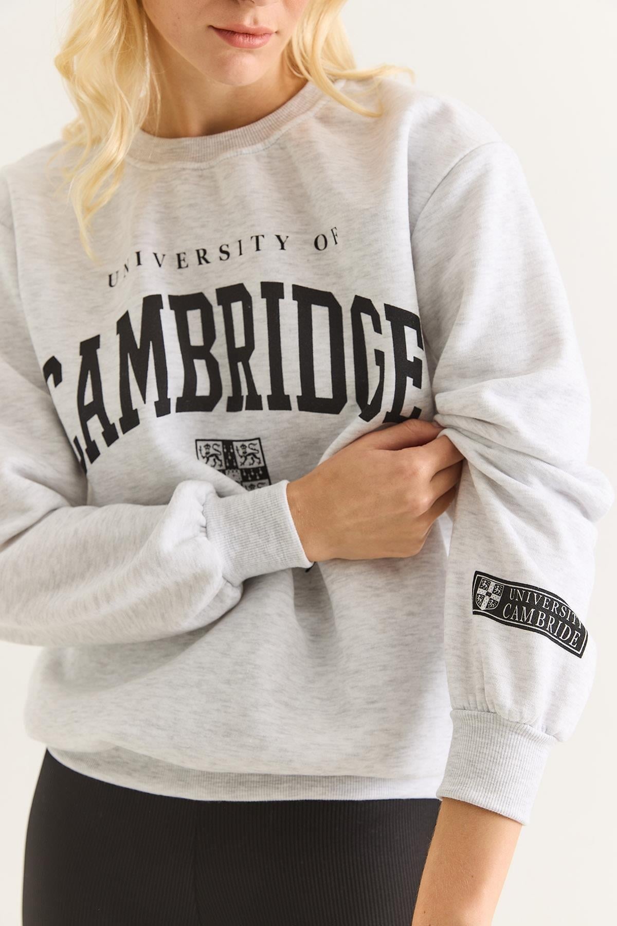 Gri Baskılı Şardonlu Sweatshirt