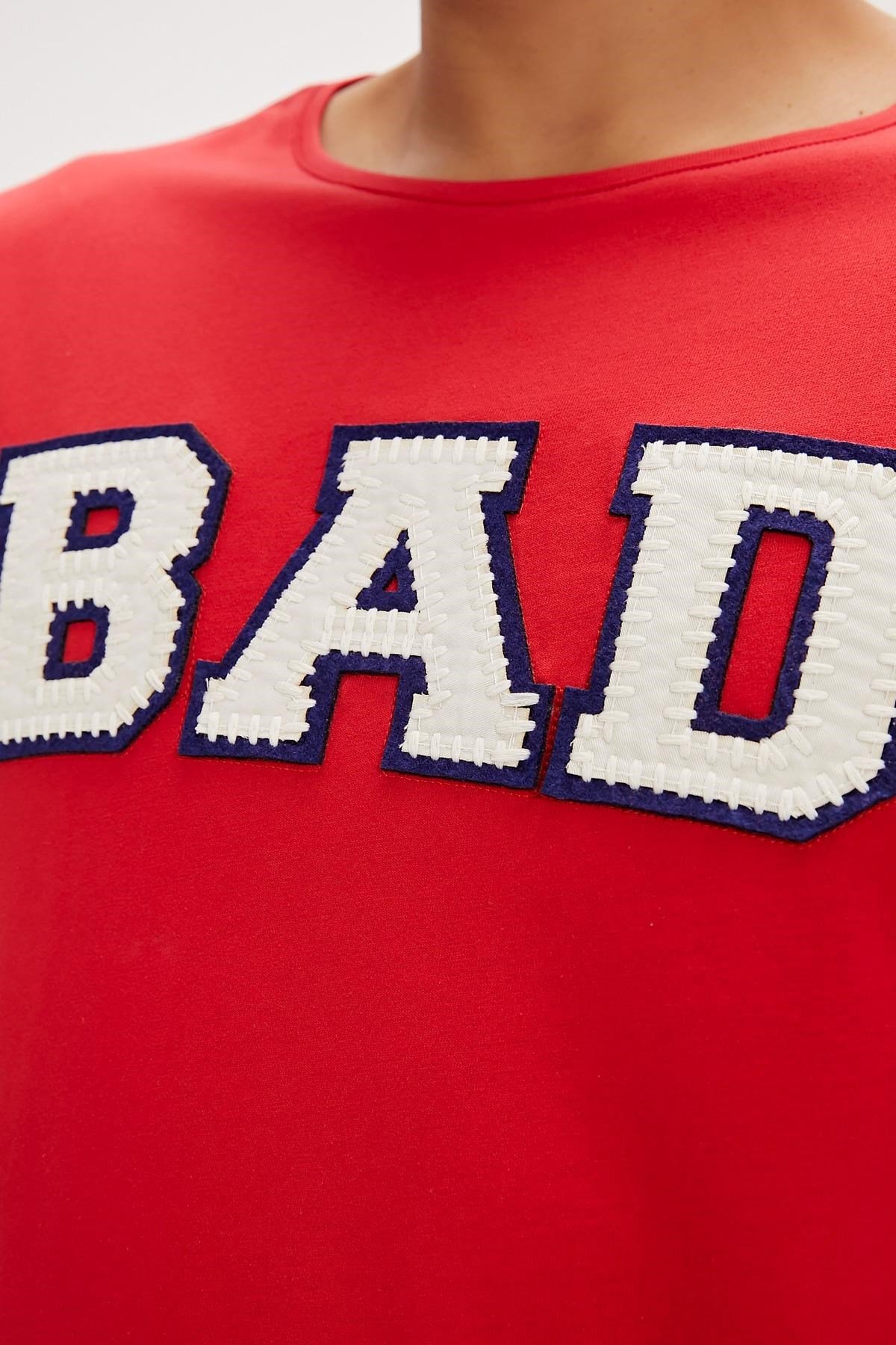 BAD BEAR ERKEK FELT T-SHIRT 24.01.07.036
