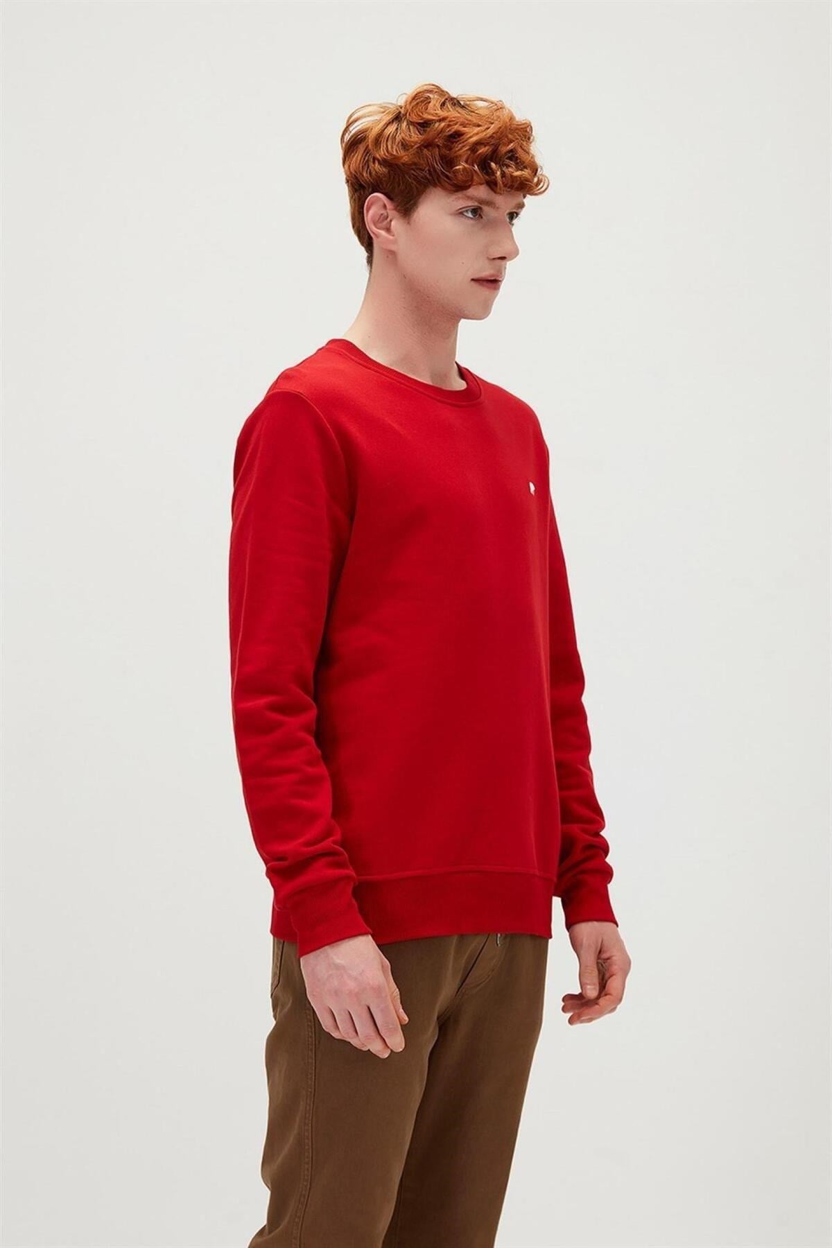 BAD BEAR ERKEK PRESAGE CREWNECK 20.02.12.012